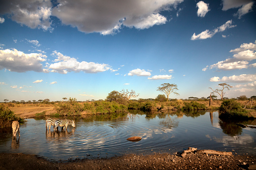 Tanzania