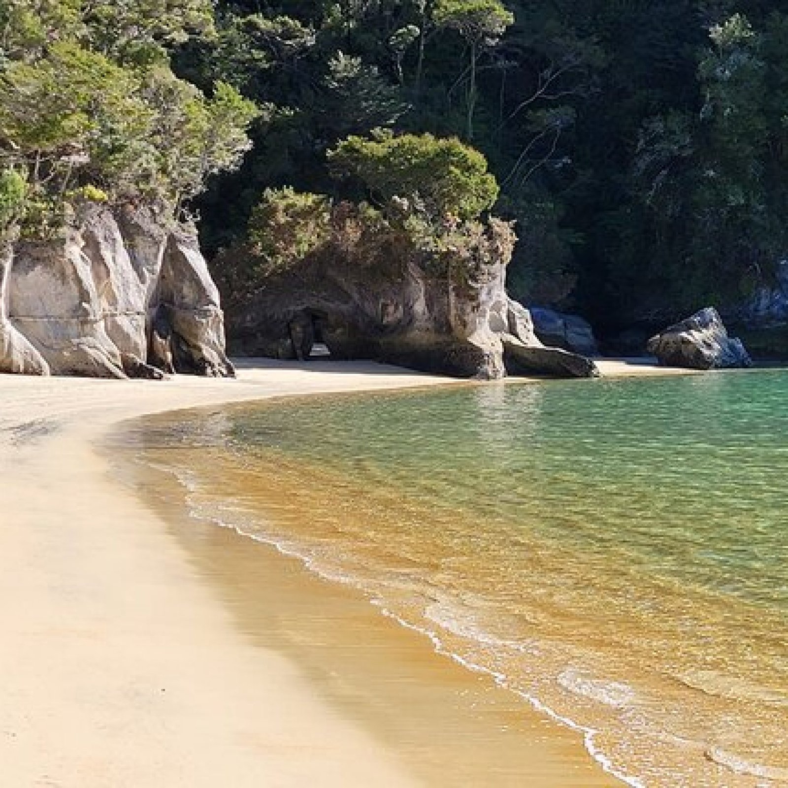 Abel Tasman National Park & the Abel Tasman Coast Track, South Island