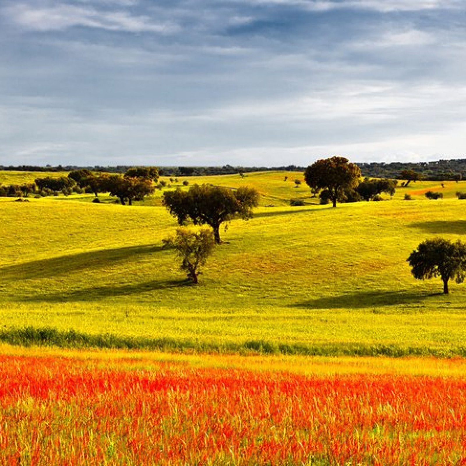 Alentejo by Horseback