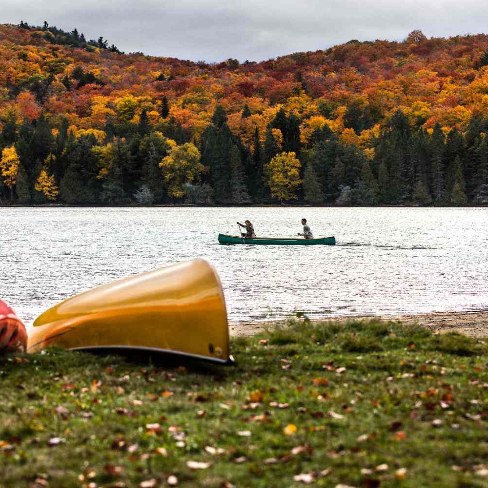 Algonquin Provincial Park, Ontario