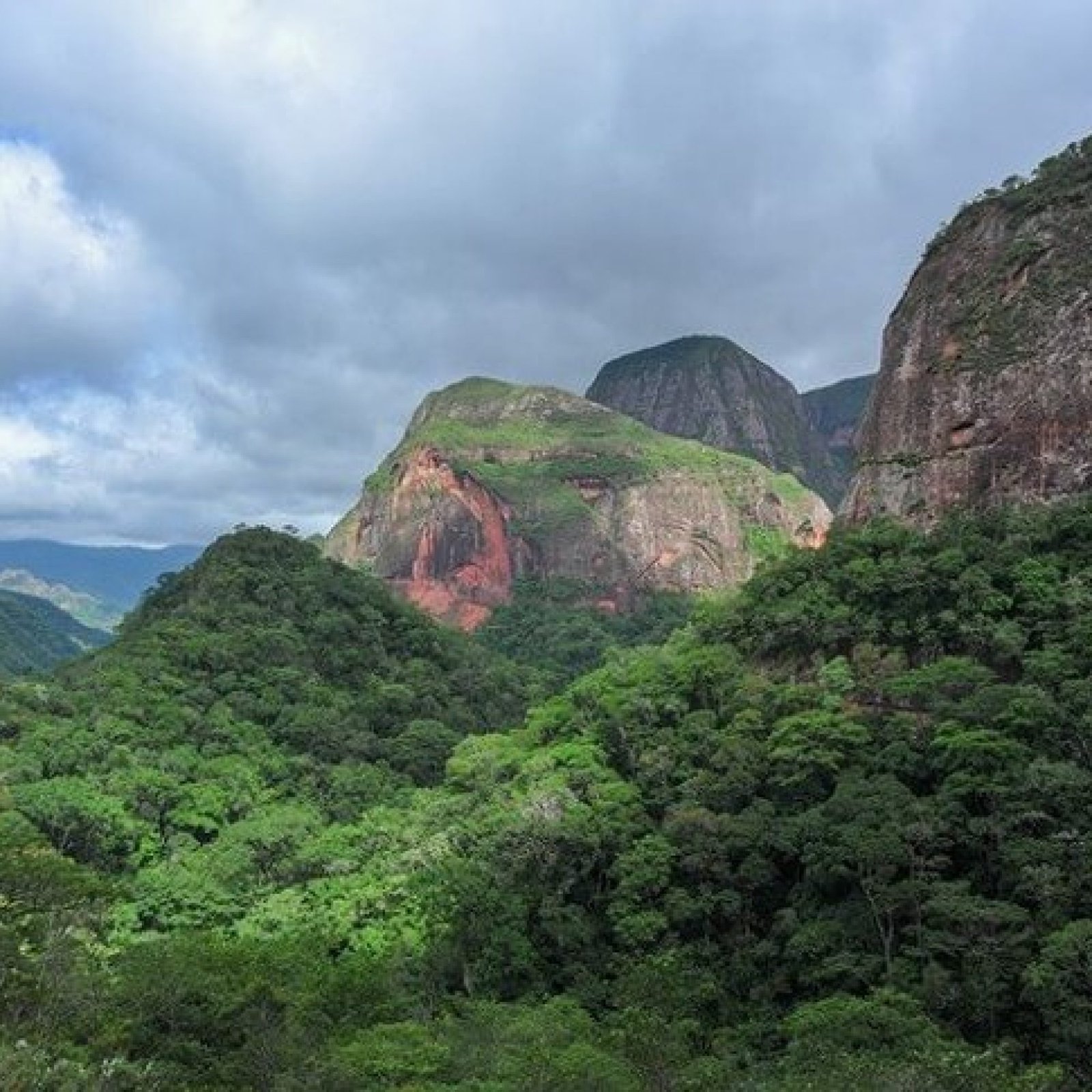 Amboro National Park