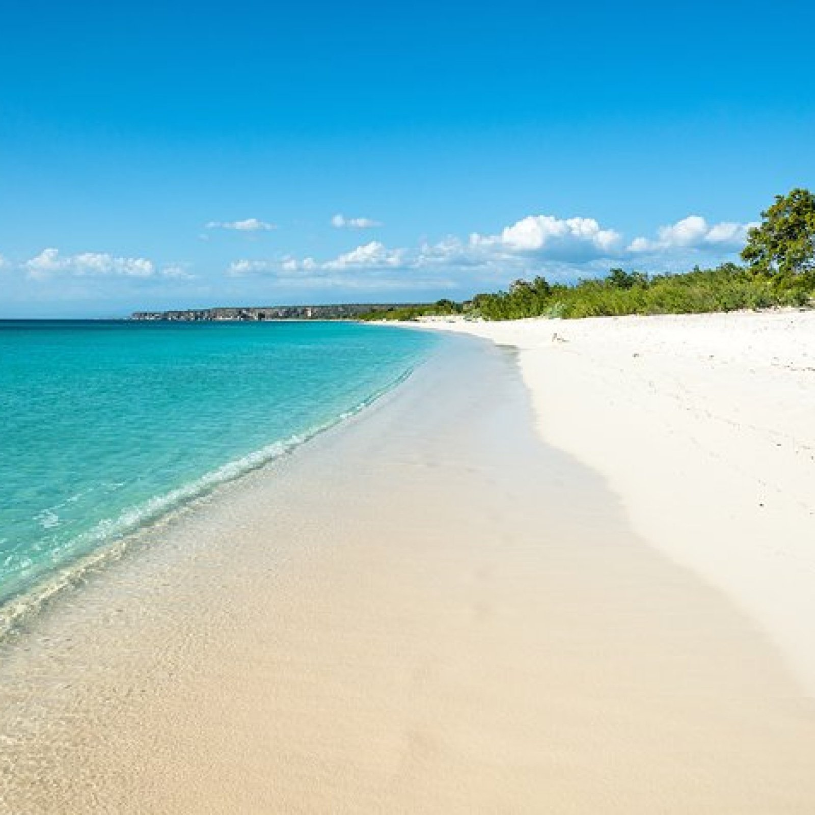 Bahia de las Aguilas