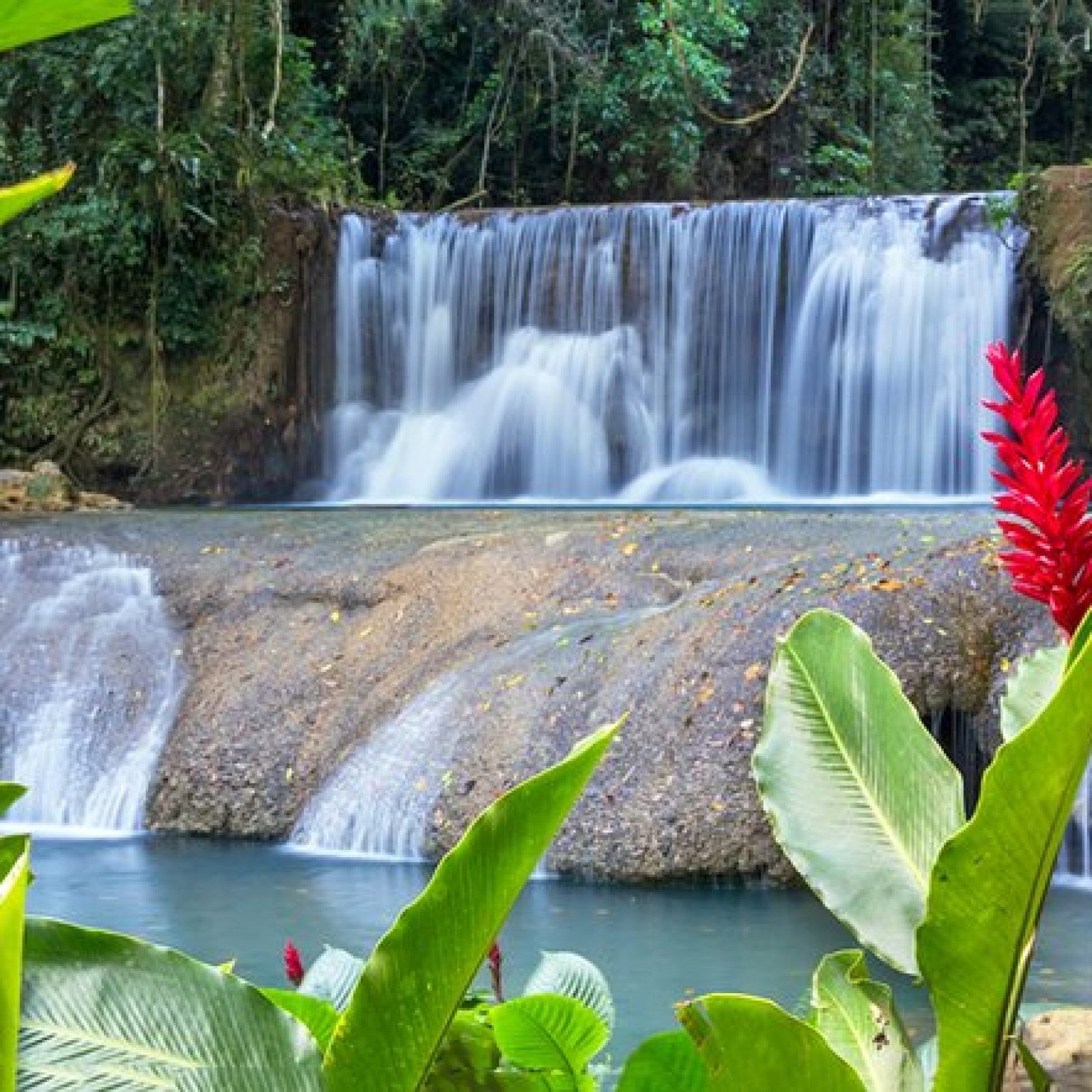 Black River Safari Boat Tour and YS Falls