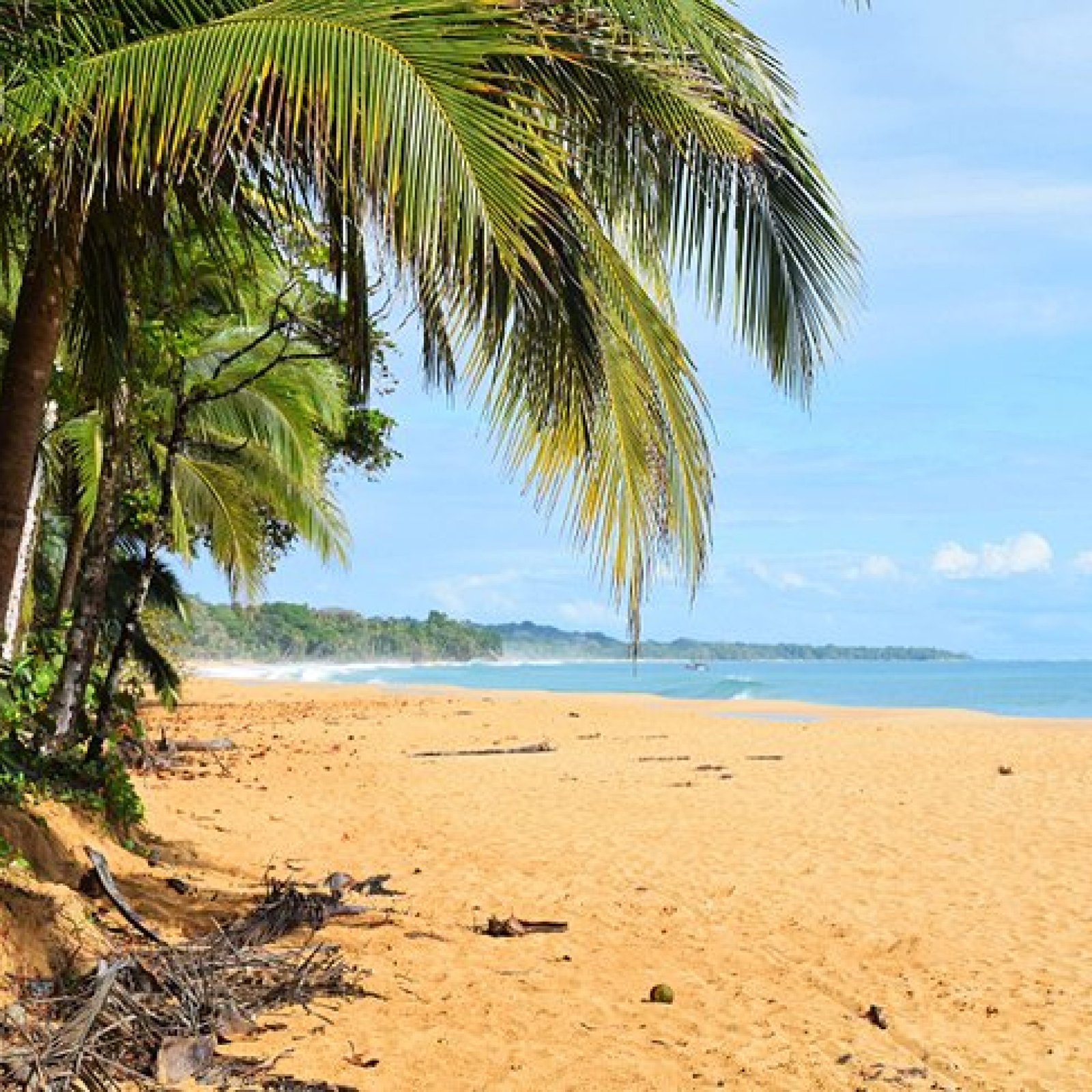 Bluff Beach