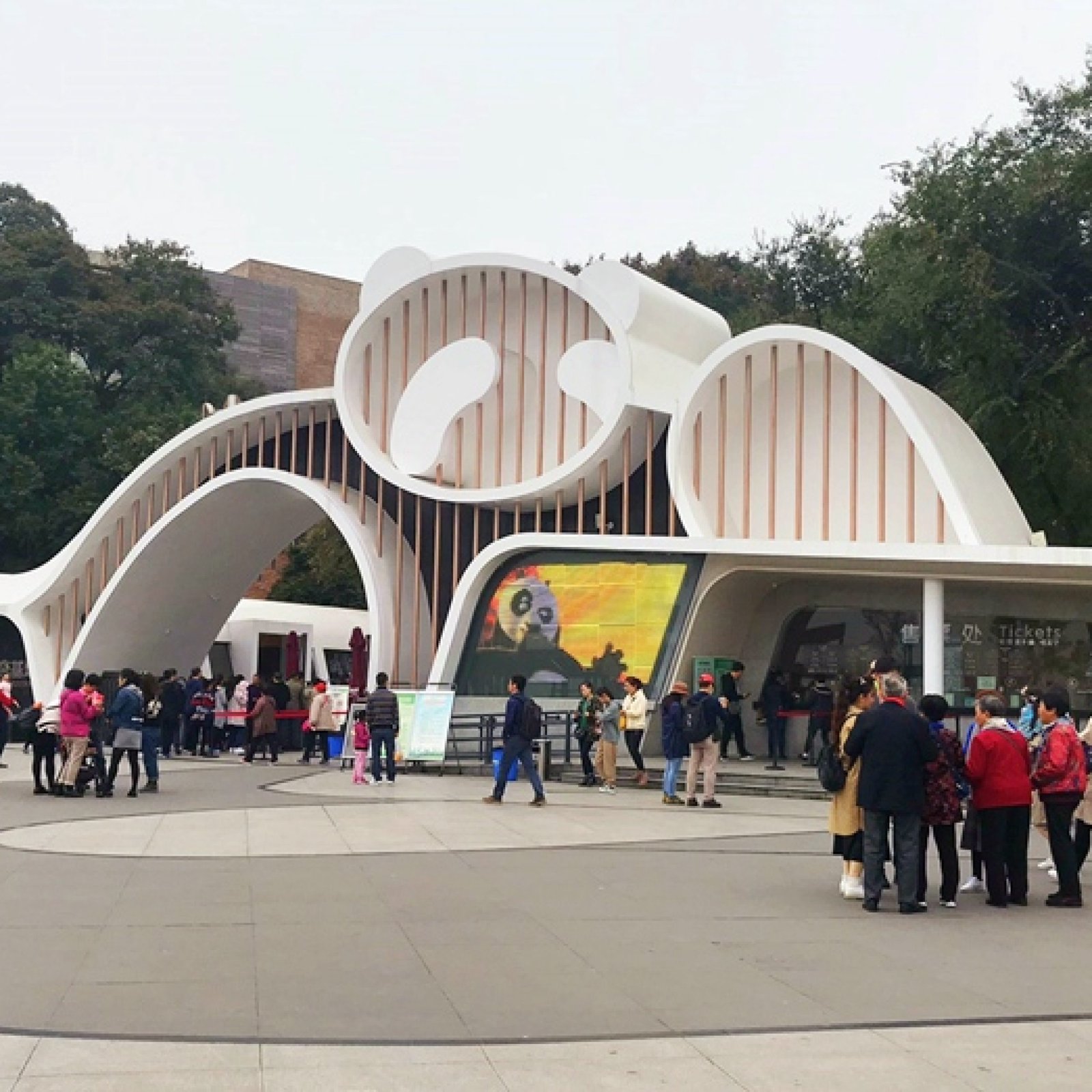 Chengdu – Giant Panda Base