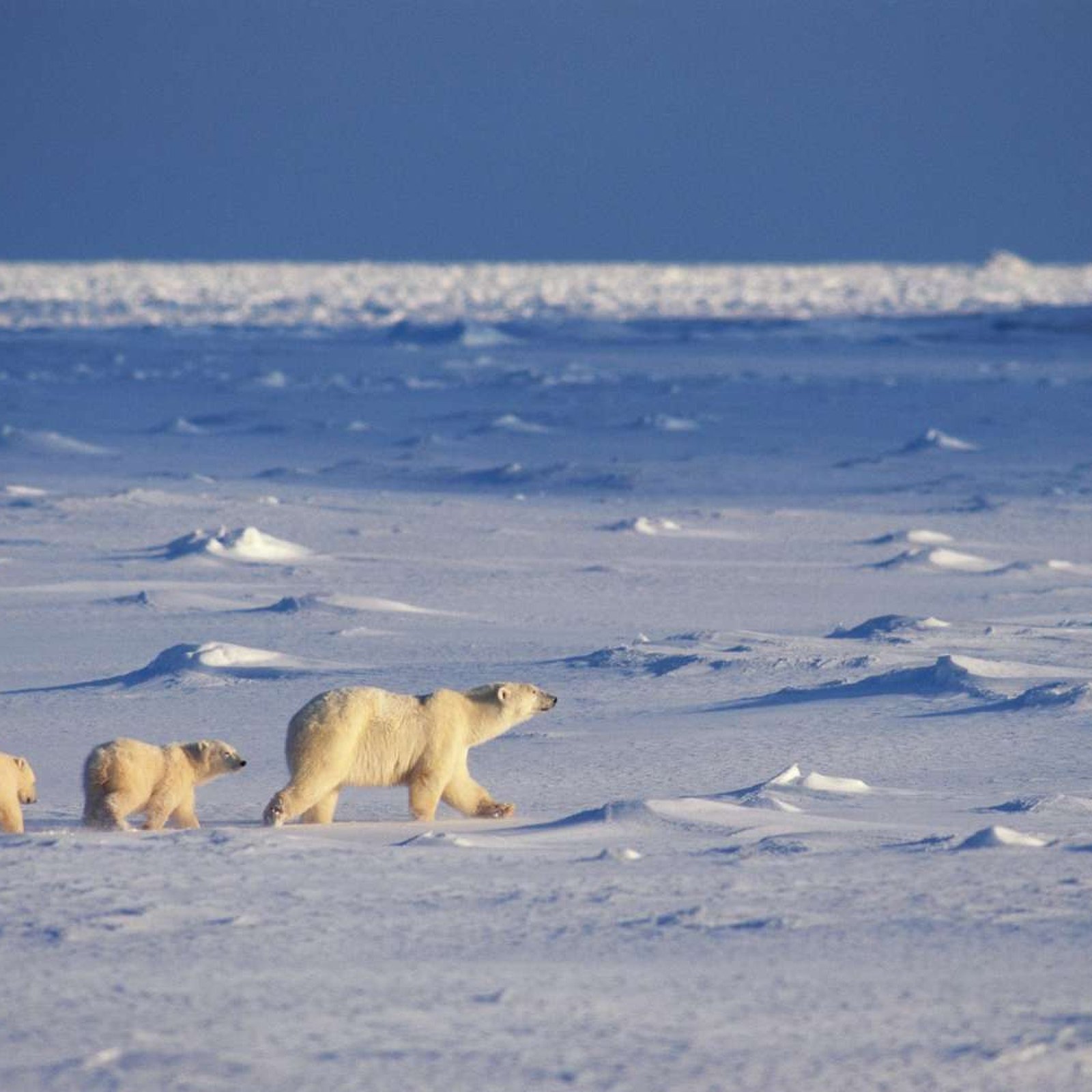 Churchill, Manitoba