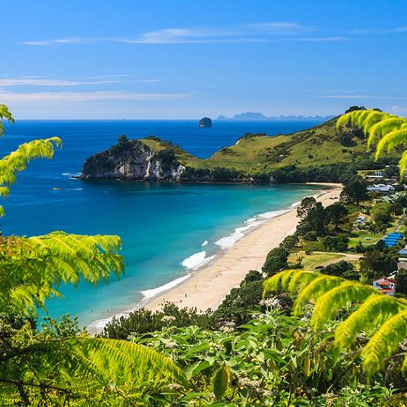 Coromandel Peninsula, North Island