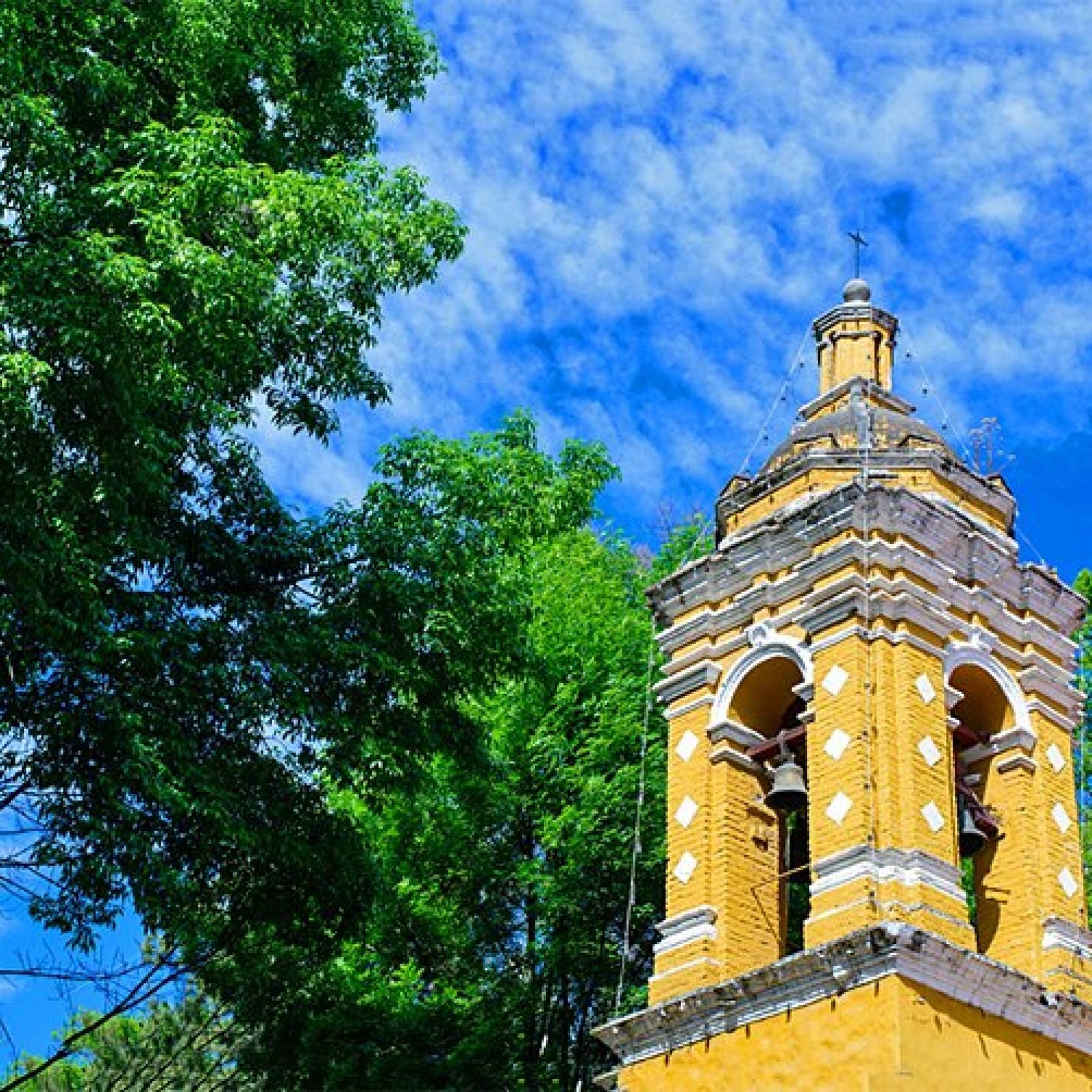 Coyoacán & the Frida Kahlo Museum