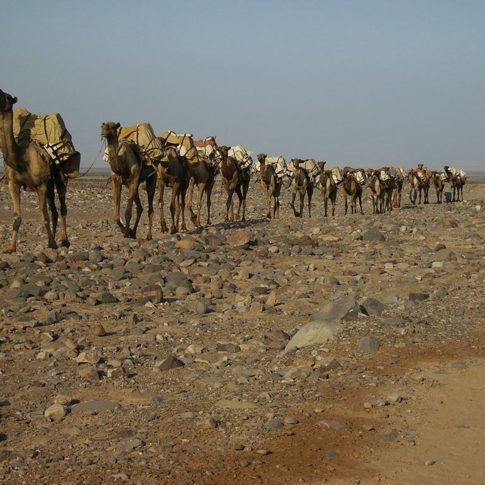 Danakil Depression