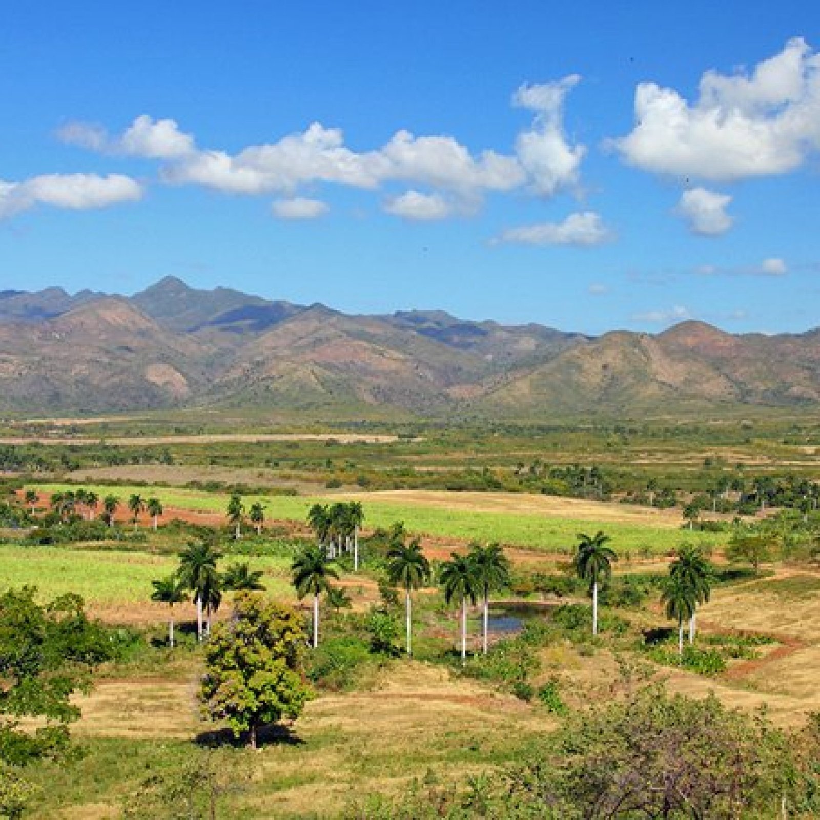 Day Trip to the Valle de los Ingenios