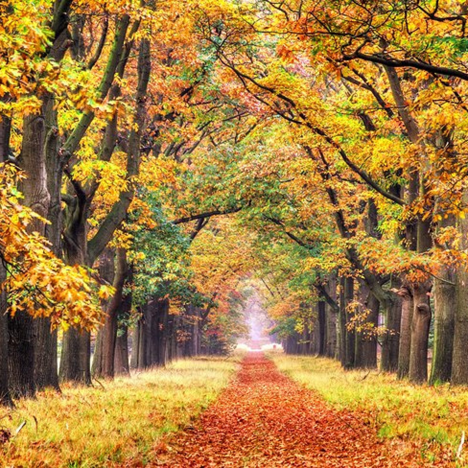 De Hoge Veluwe National Park, Otterlo