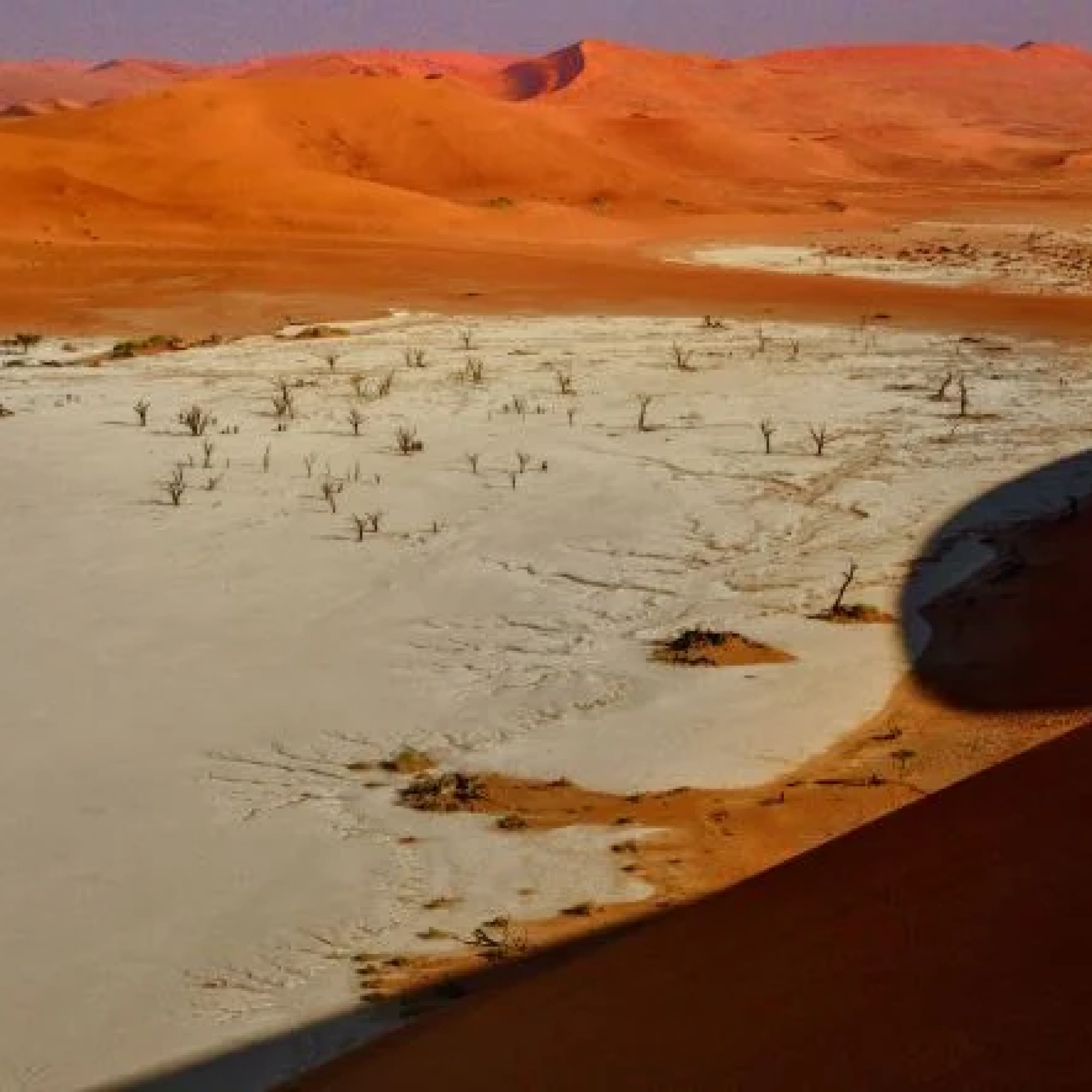 Deadvlei