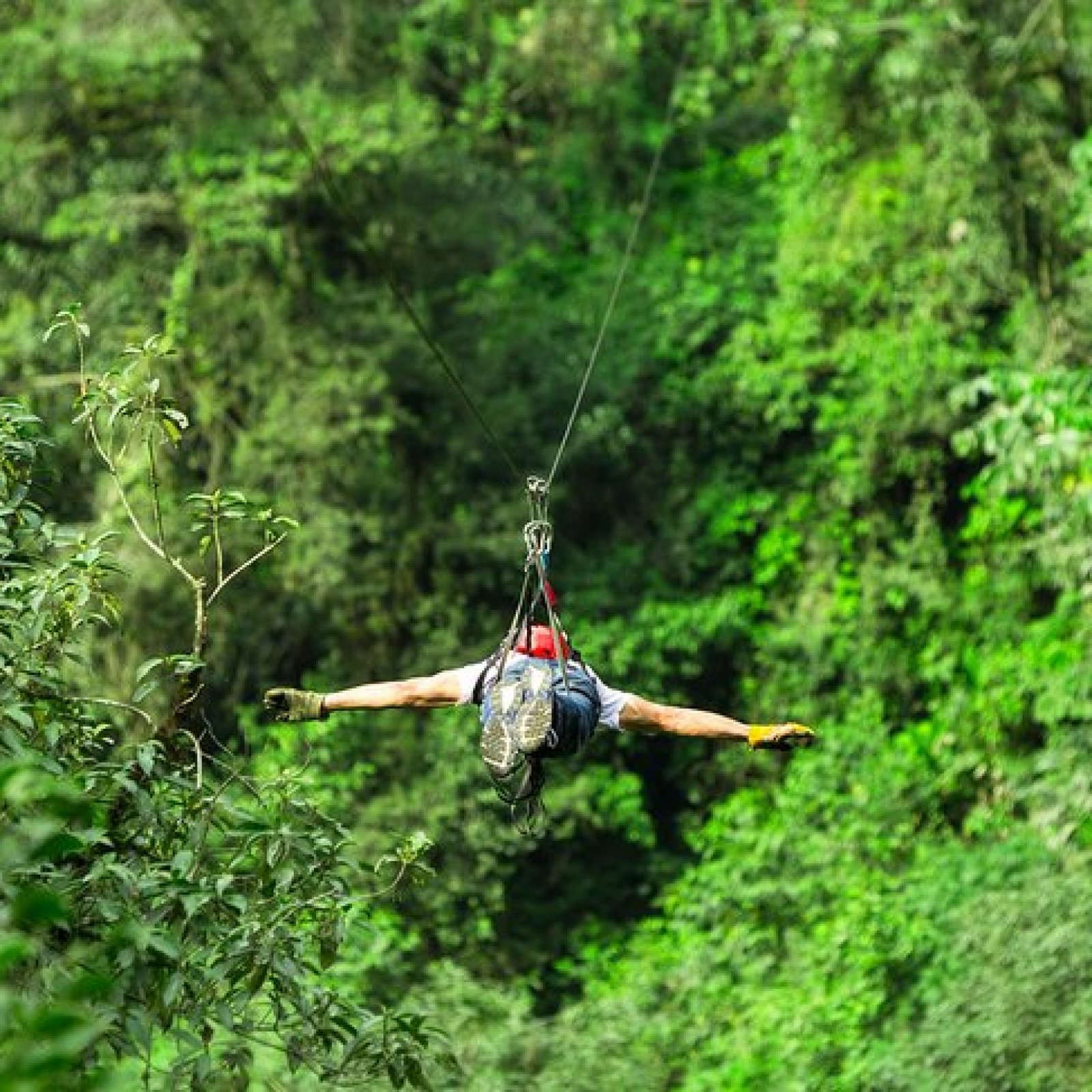 Diamante Eco Adventure Park