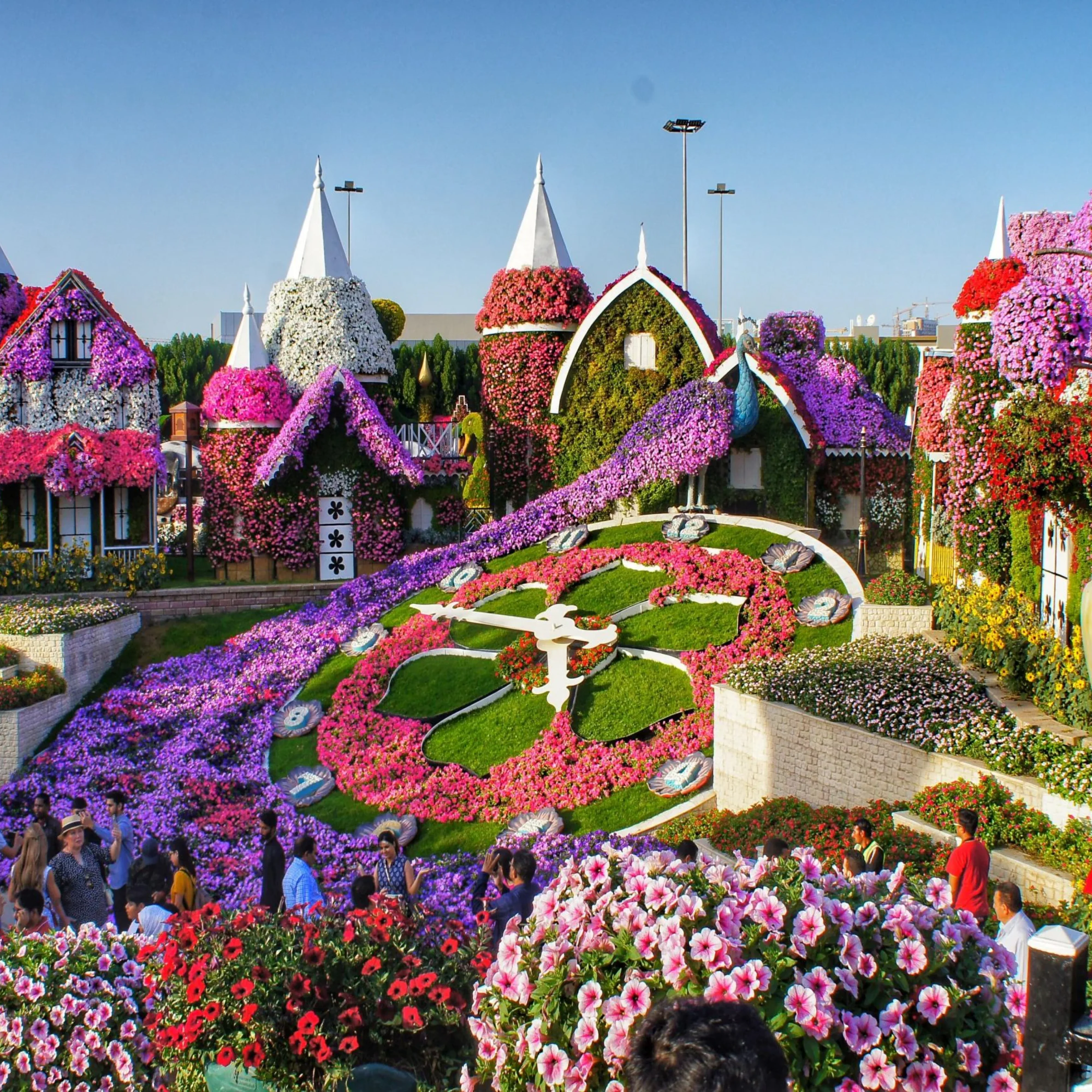 Dubai Miracle Garden