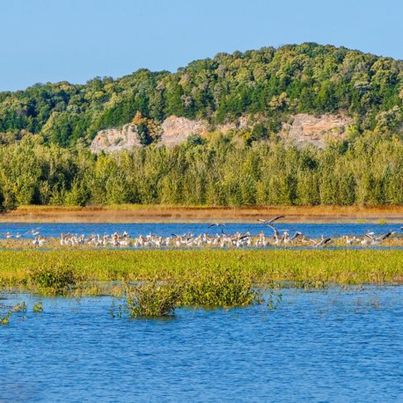 Eagle Bluffs Conservation Area