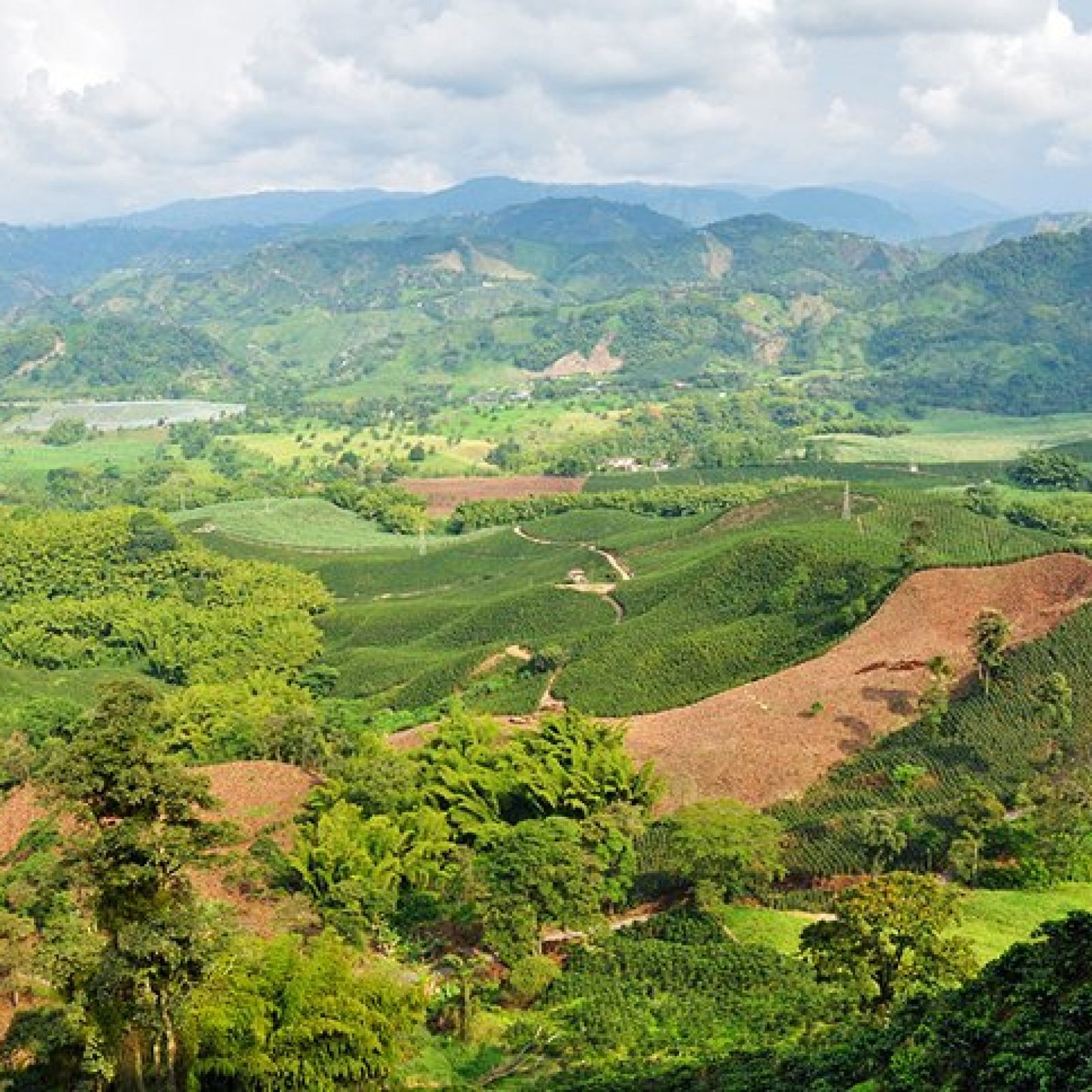 Eje Cafetero