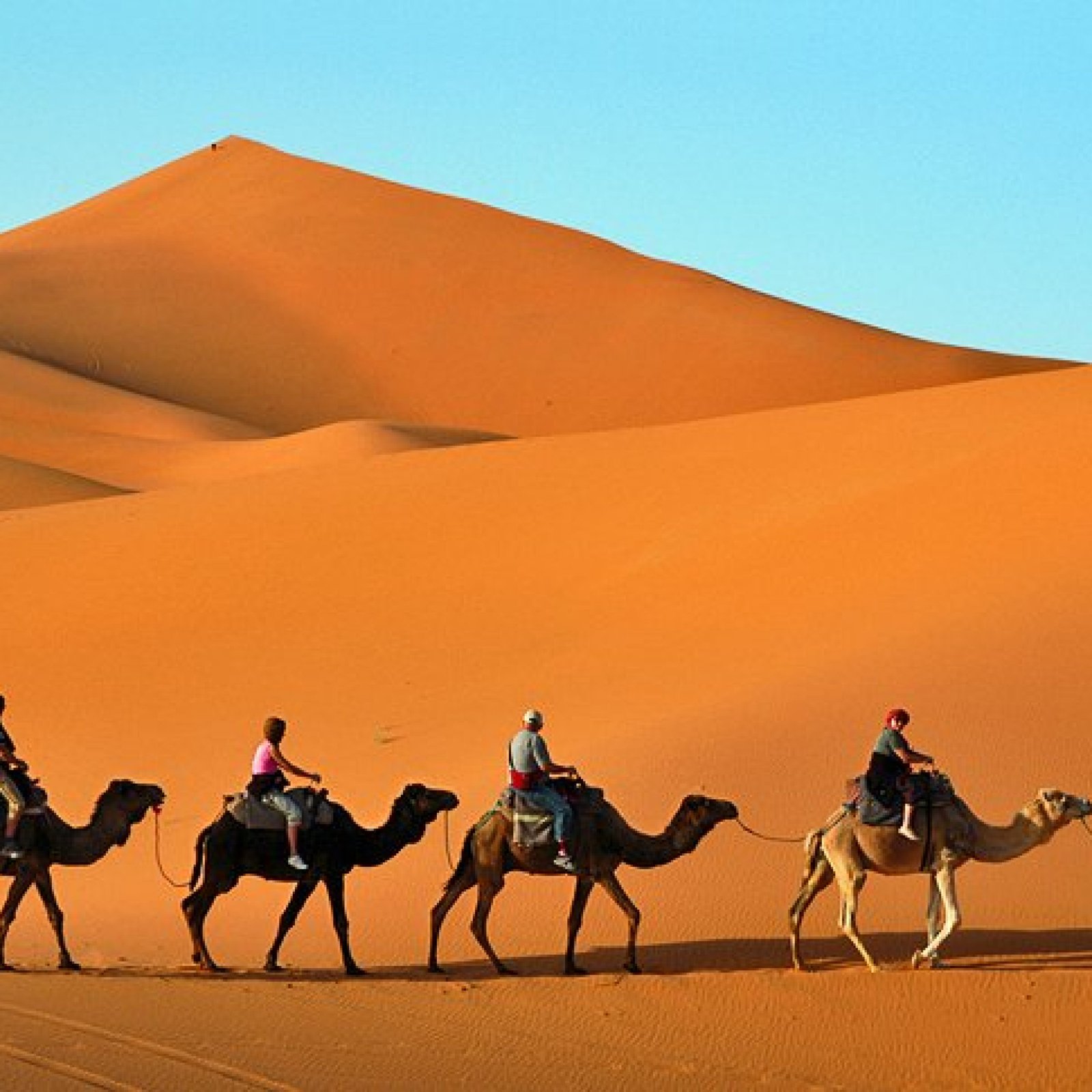 Erg Chebbi’s Dunes