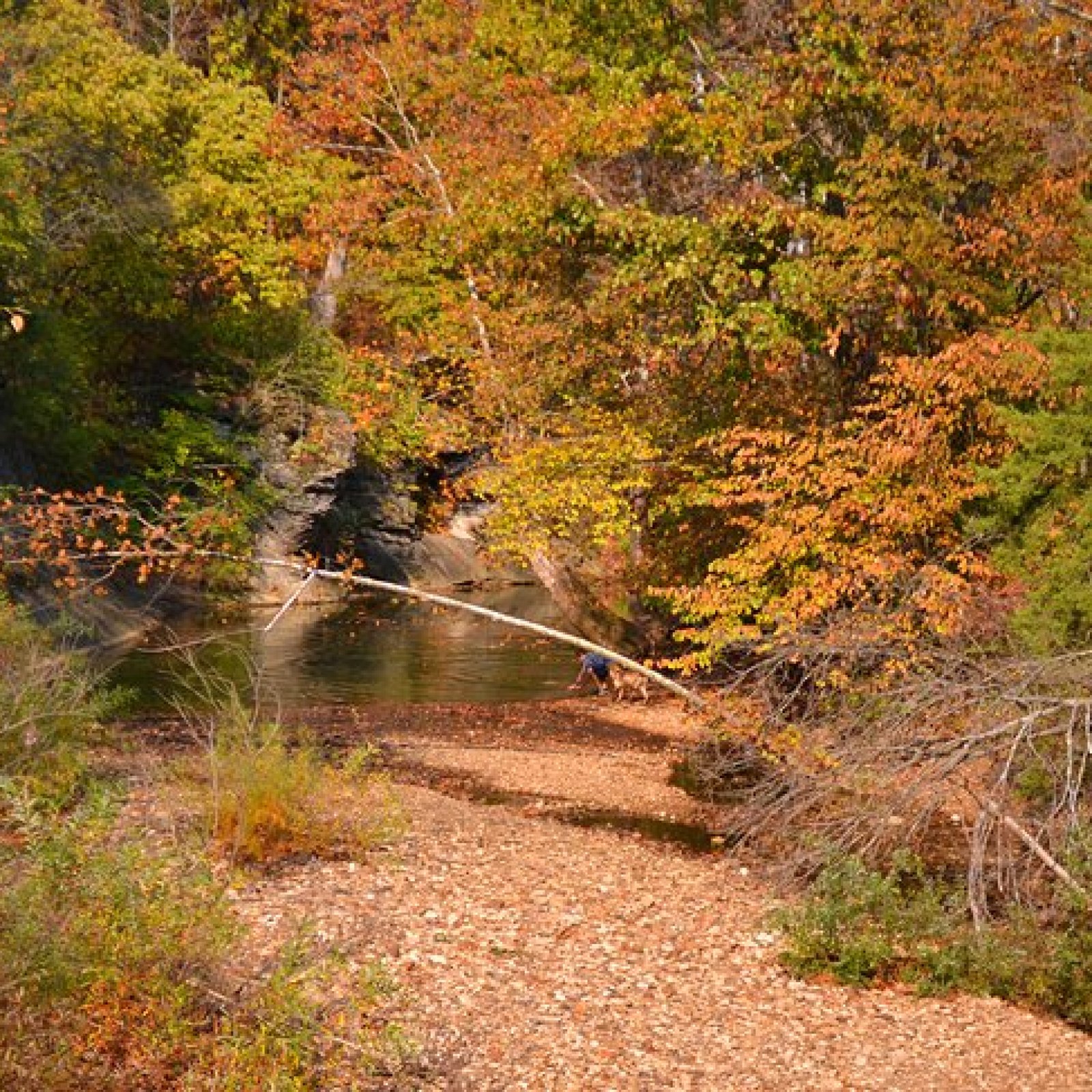 Grindstone Nature Area