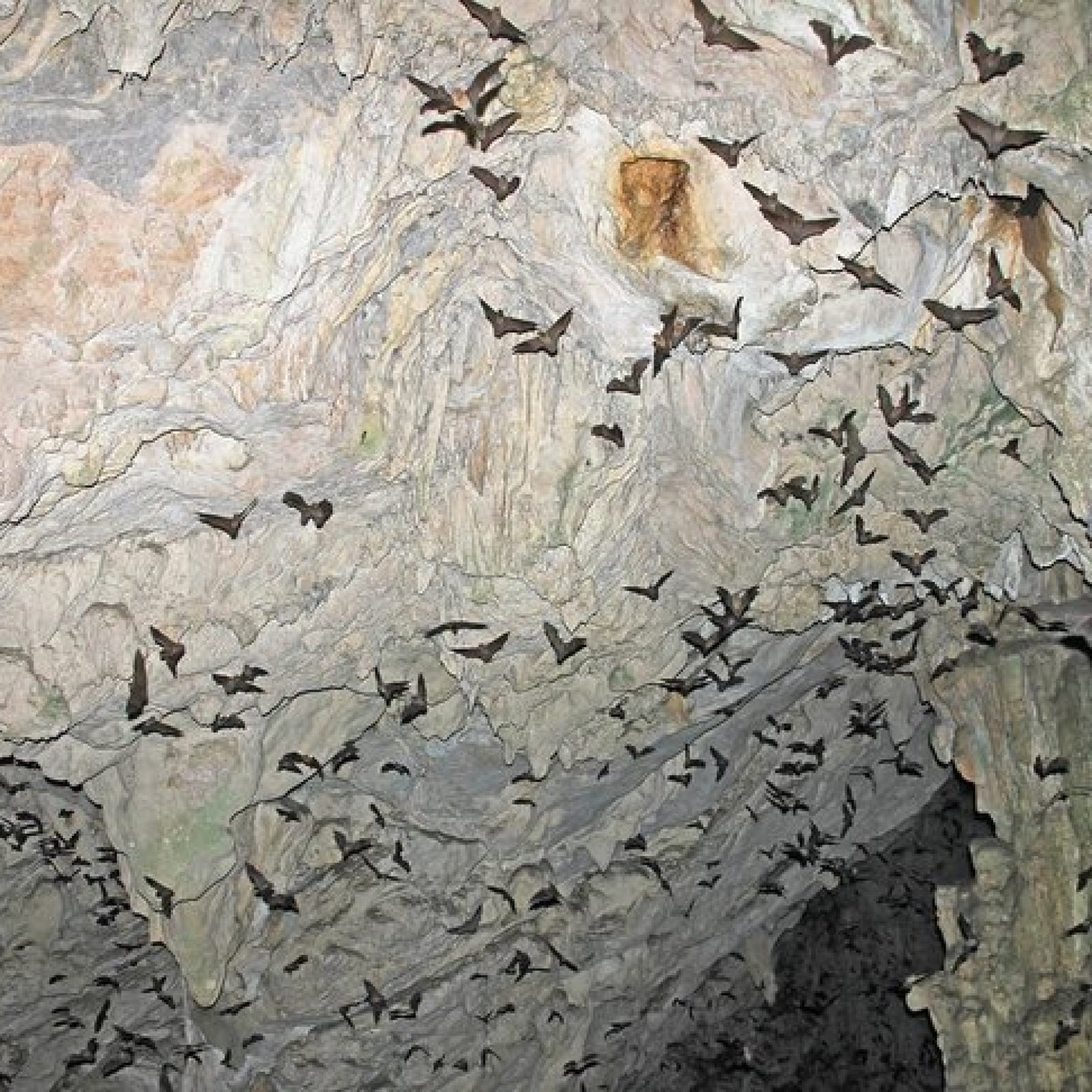 Grutas de Lanquín (Lanquín Caves)