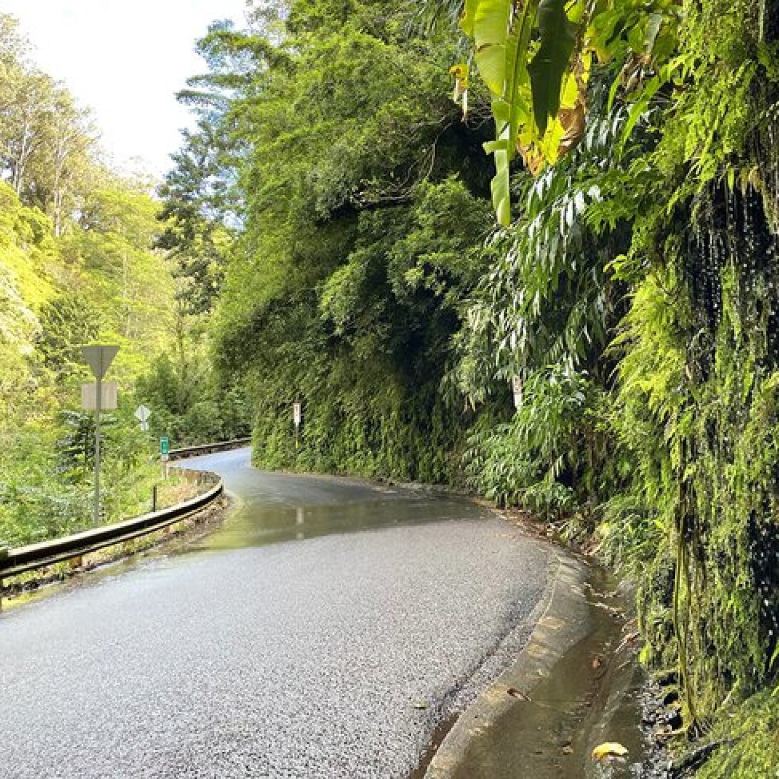 Hana Road, Maui