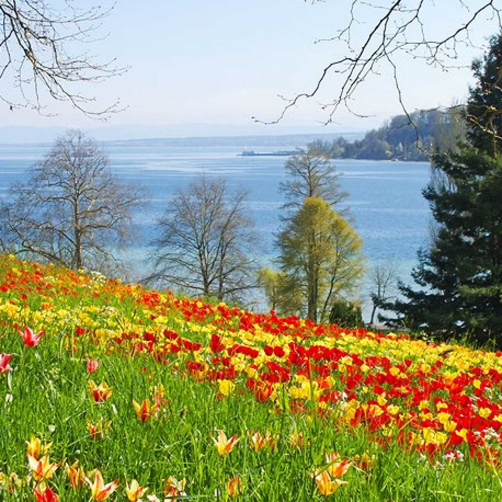 Insel Mainau_ The Flower Island of Lake Constance