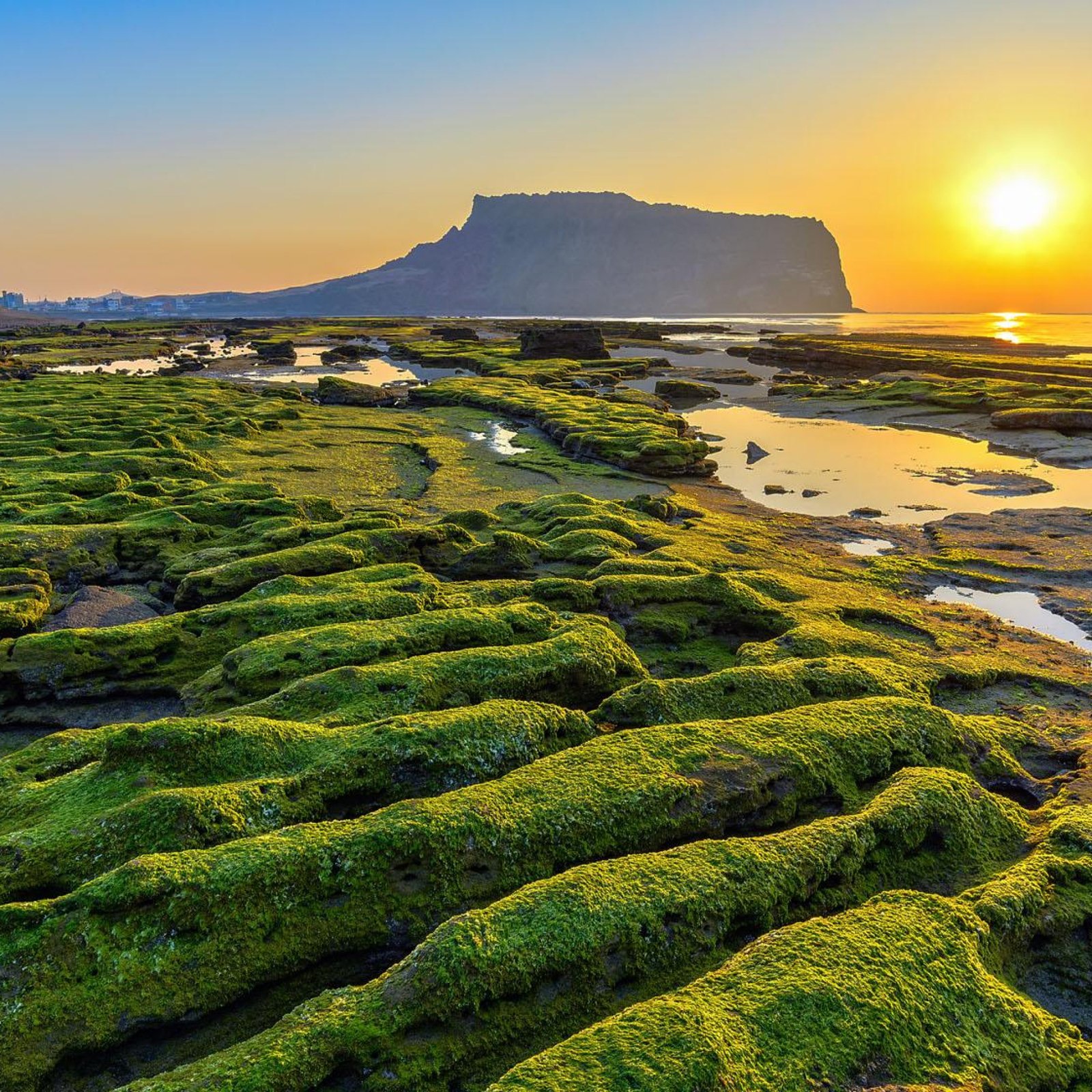 Jeju Island