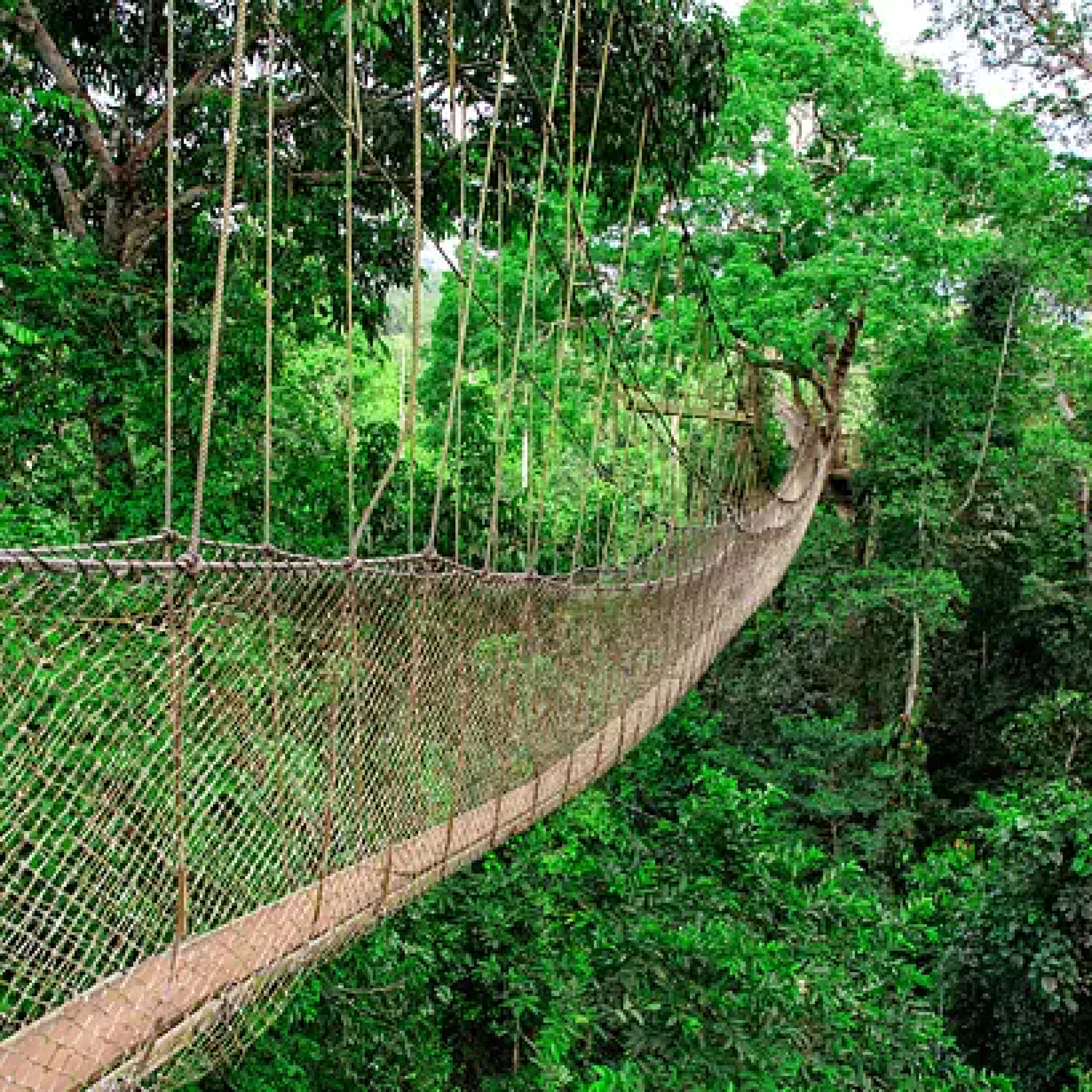 Kakum National Park
