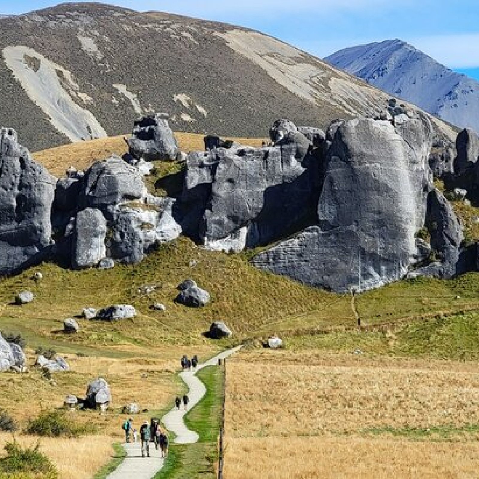 Kura Tawhiti Conservation Area (Castle Hill), South Island