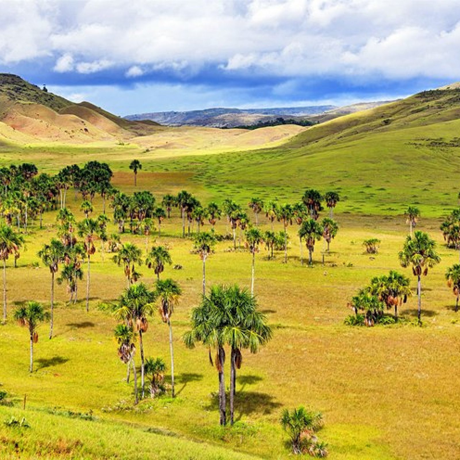 La Gran Sabana