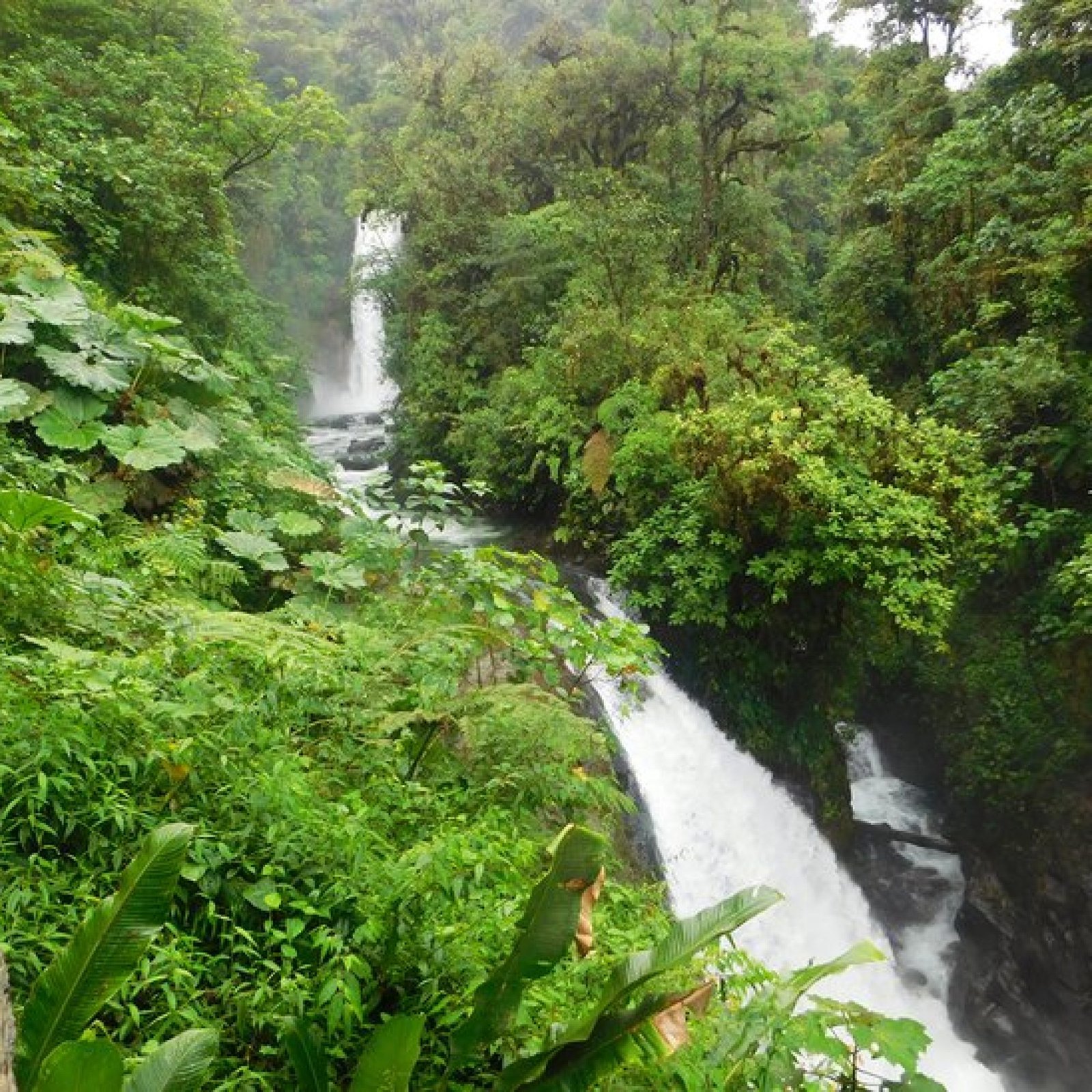 La Paz Waterfall Gardens