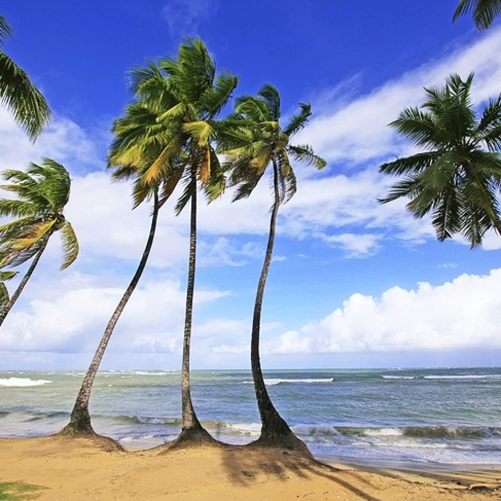 Las Terrenas