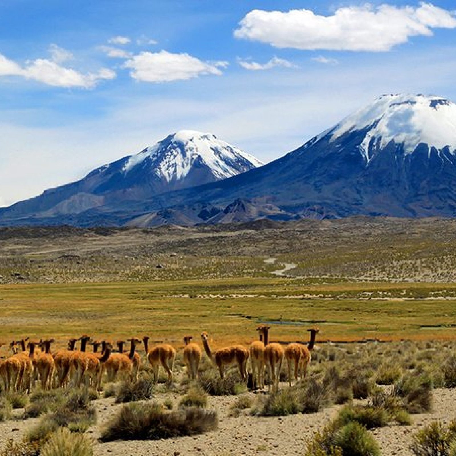 Lauca National Park