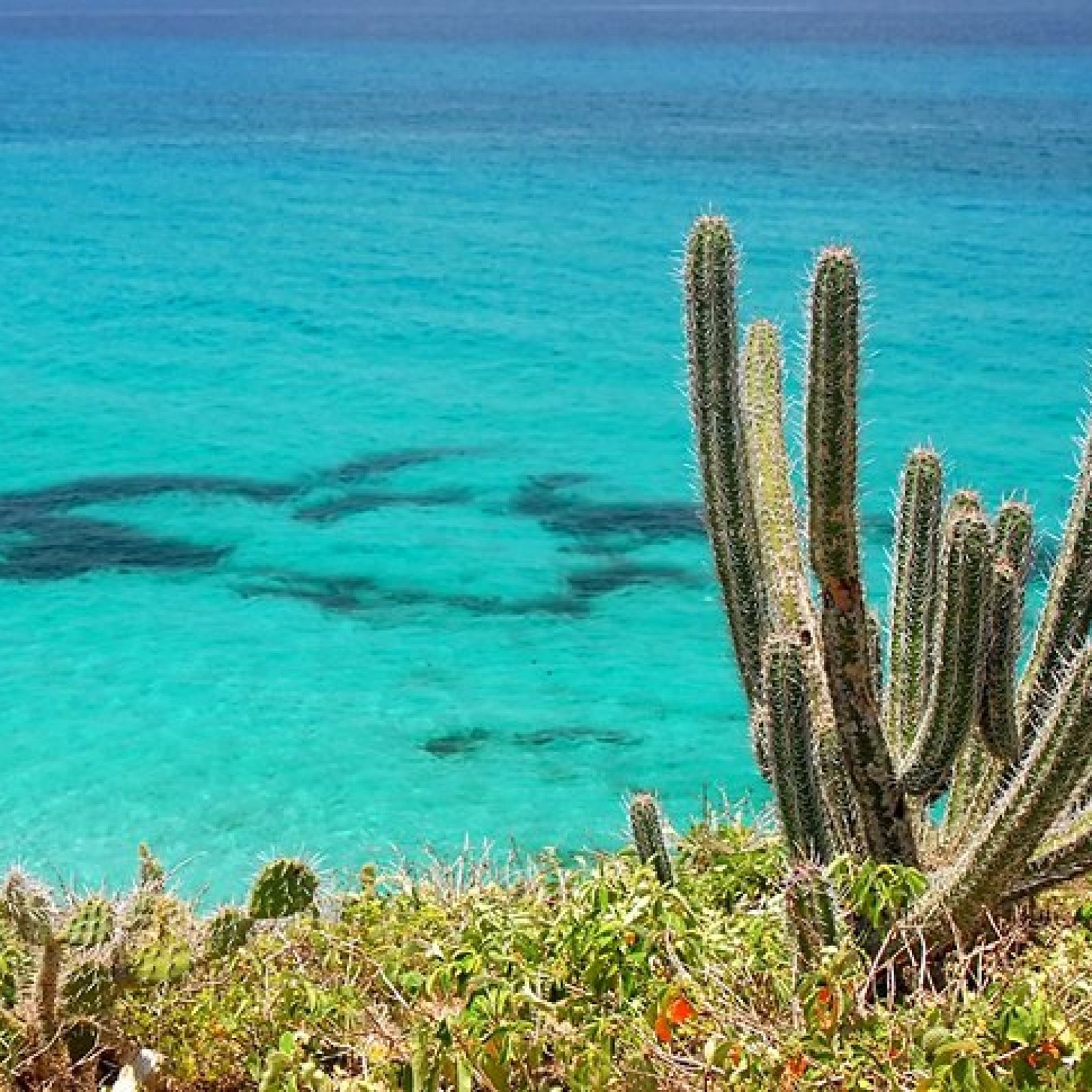 Los Frailes Island
