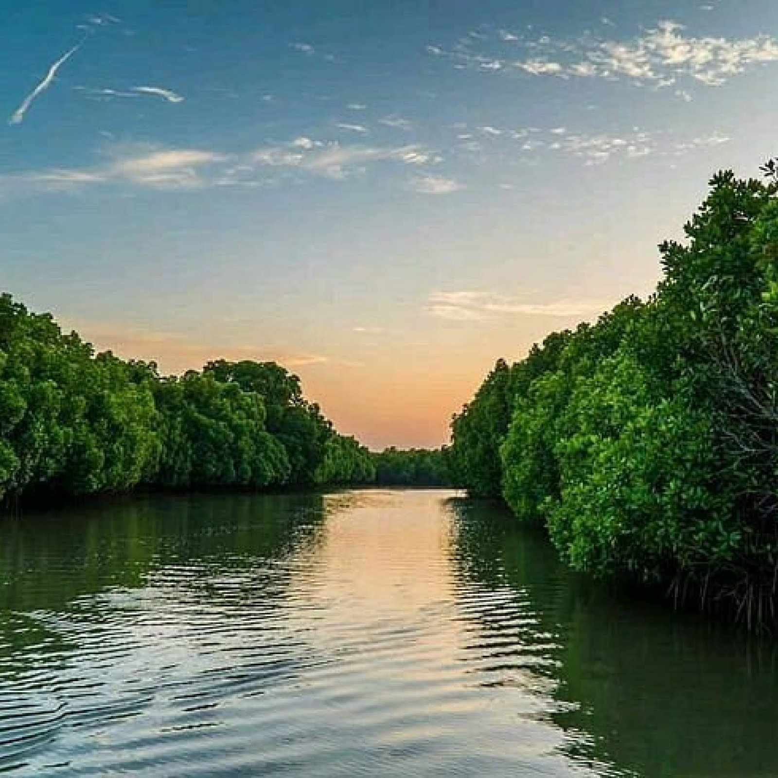 Madu River
