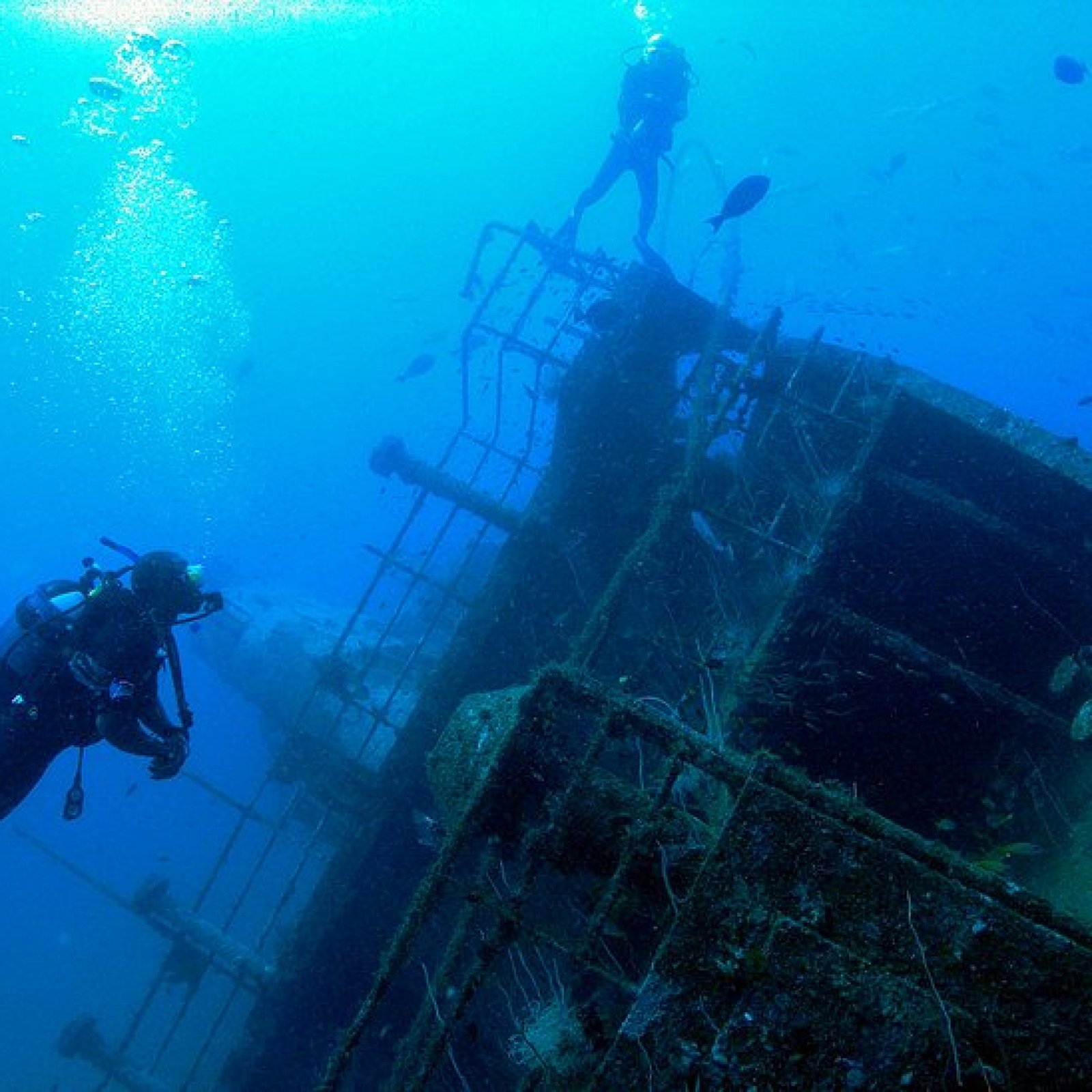 Mombasa – Marine National Park