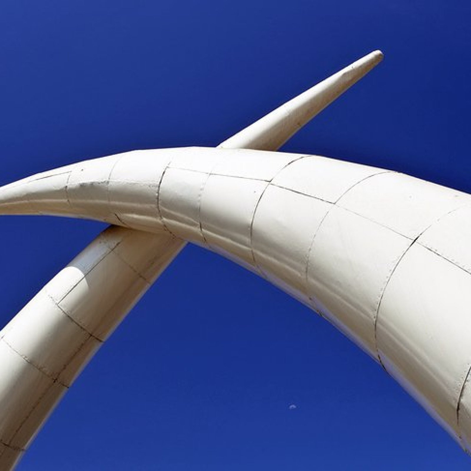Mombasa Tusks