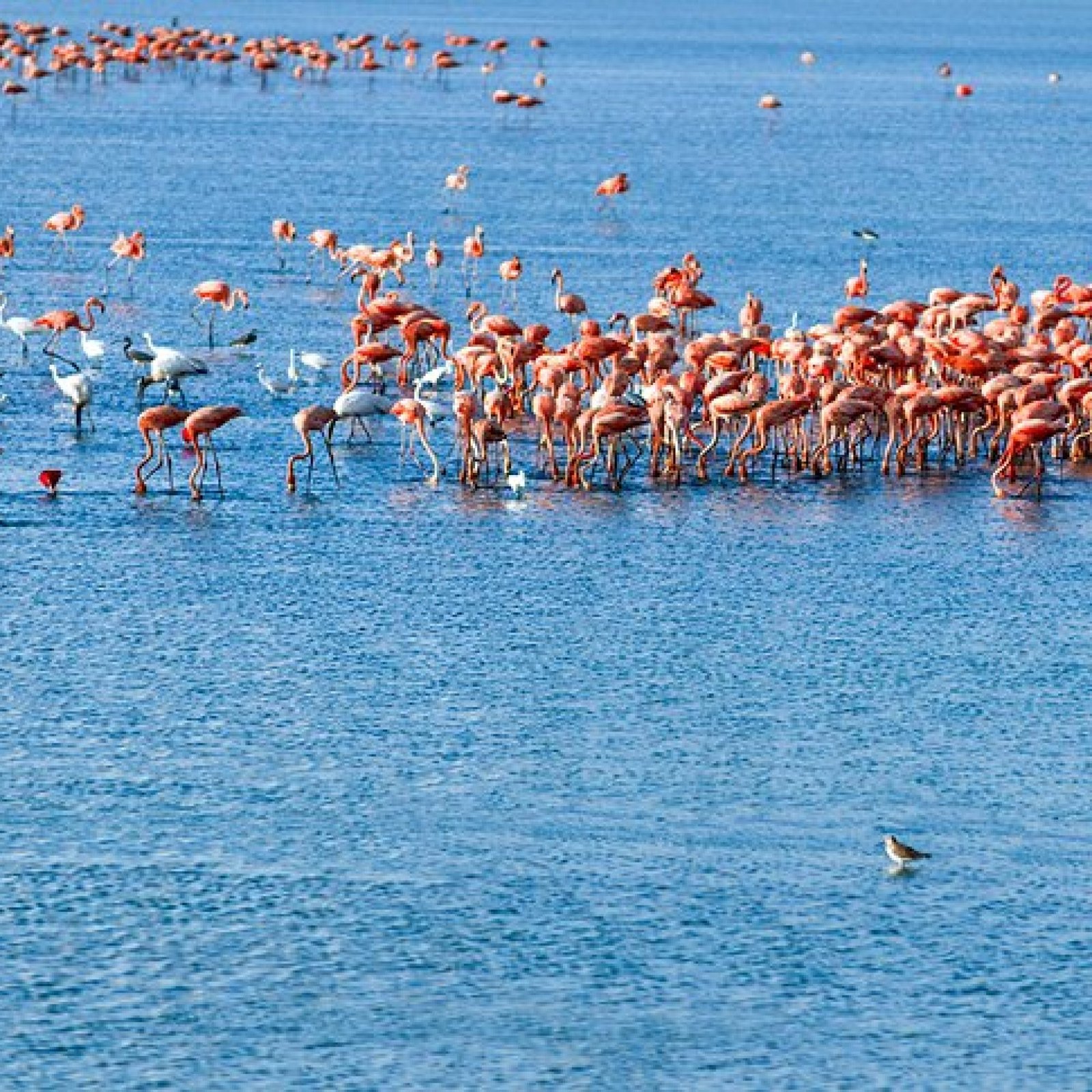 Morrocoy National Park