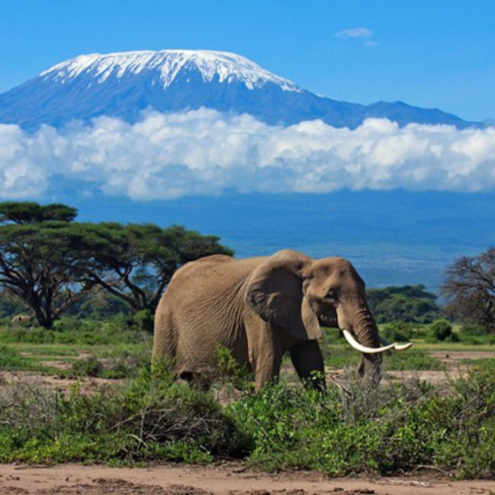 Mount Kilimanjaro