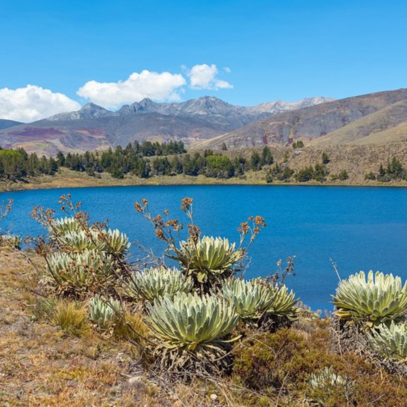 Mucubaji Lagoon