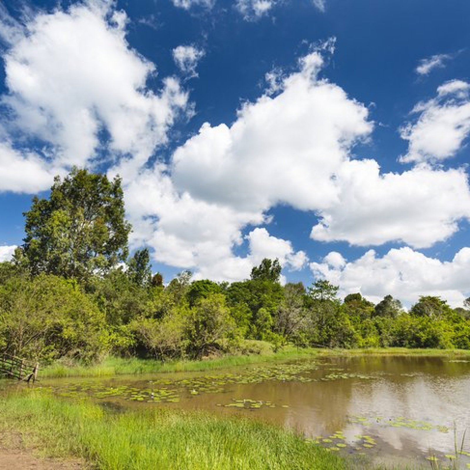 Nairobi – Karura Forest Reserve