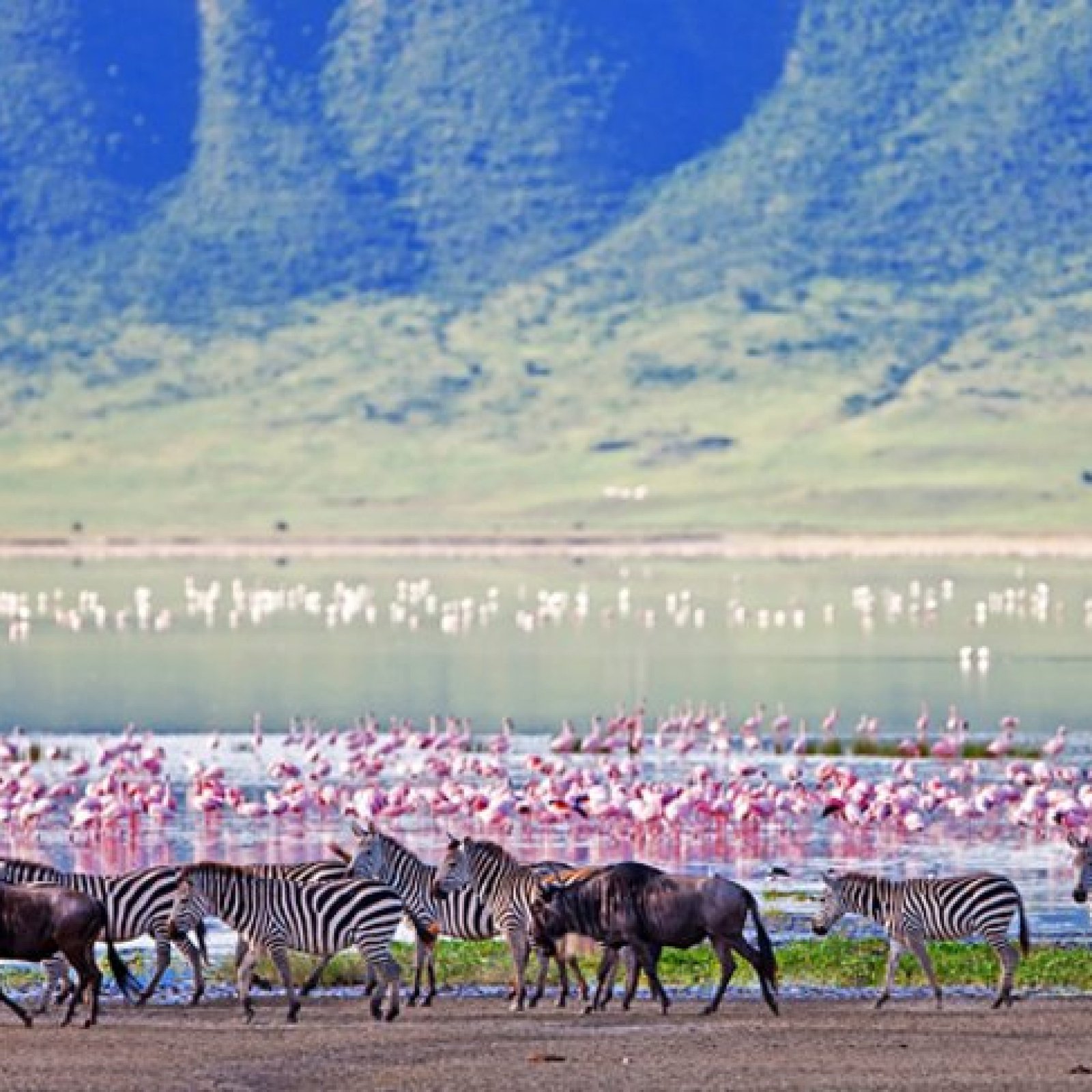 Ngorongoro Conservation Area