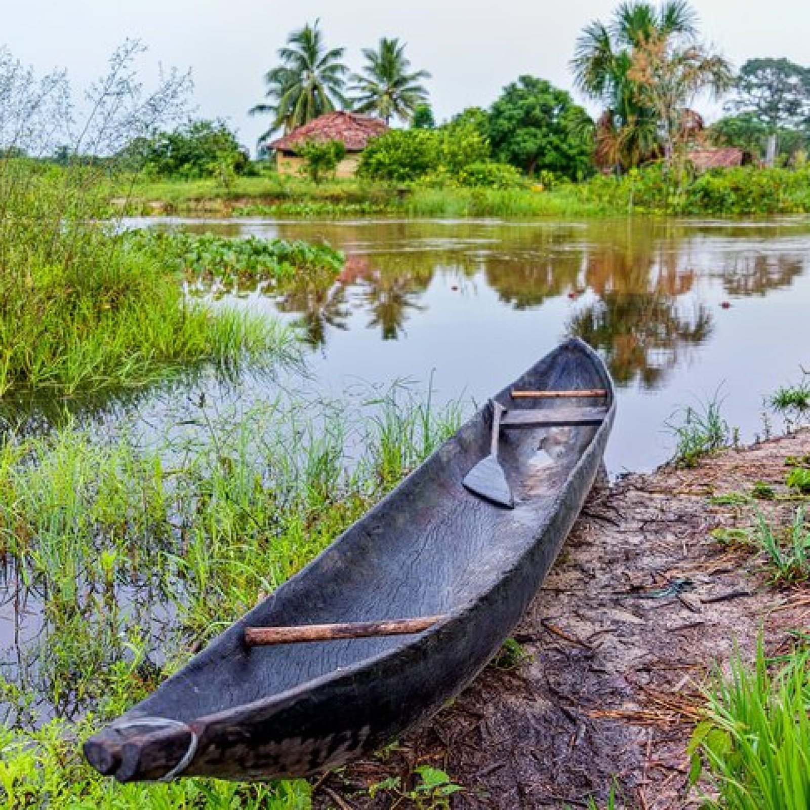 Orinoco Delta