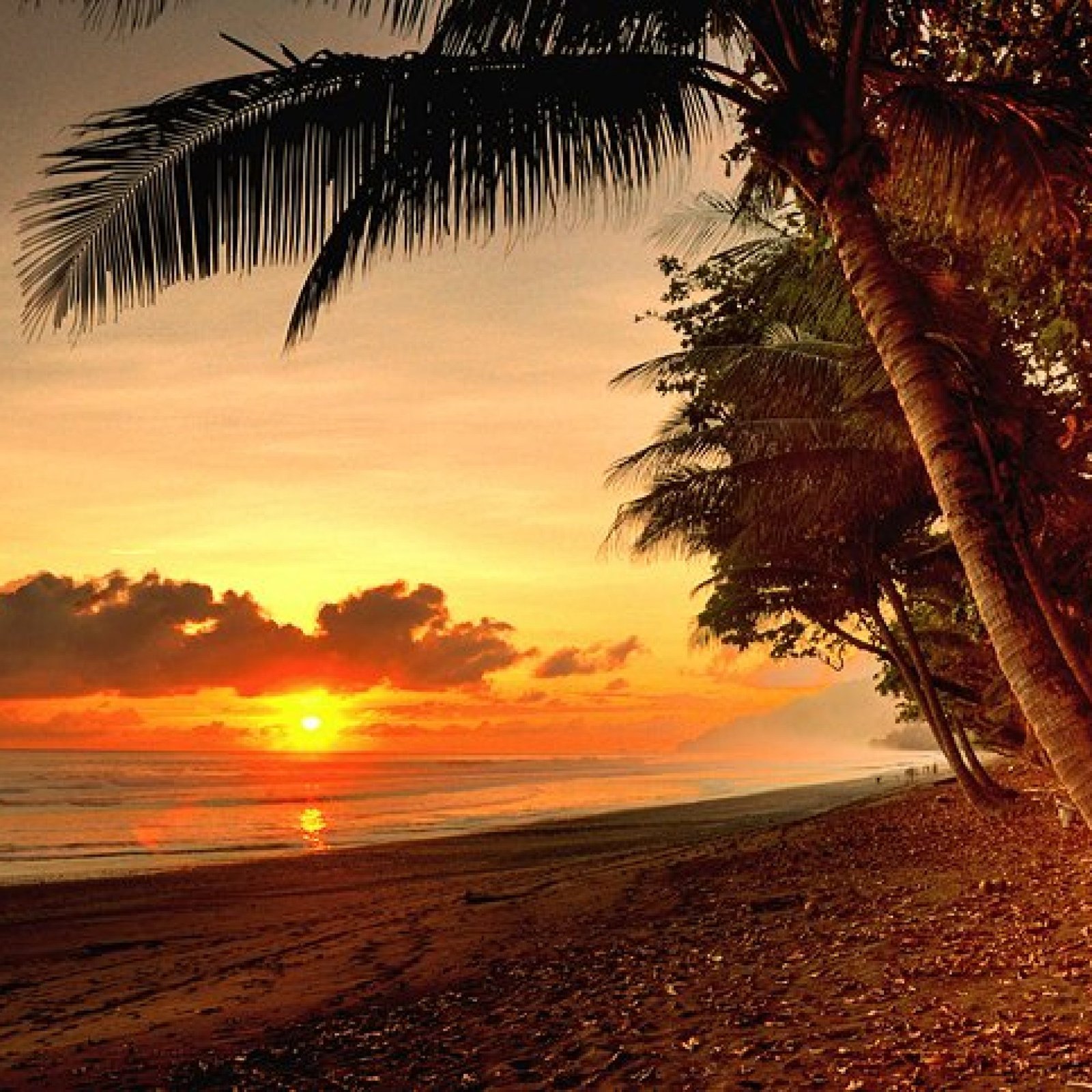 Osa Peninsula and Corcovado National Park