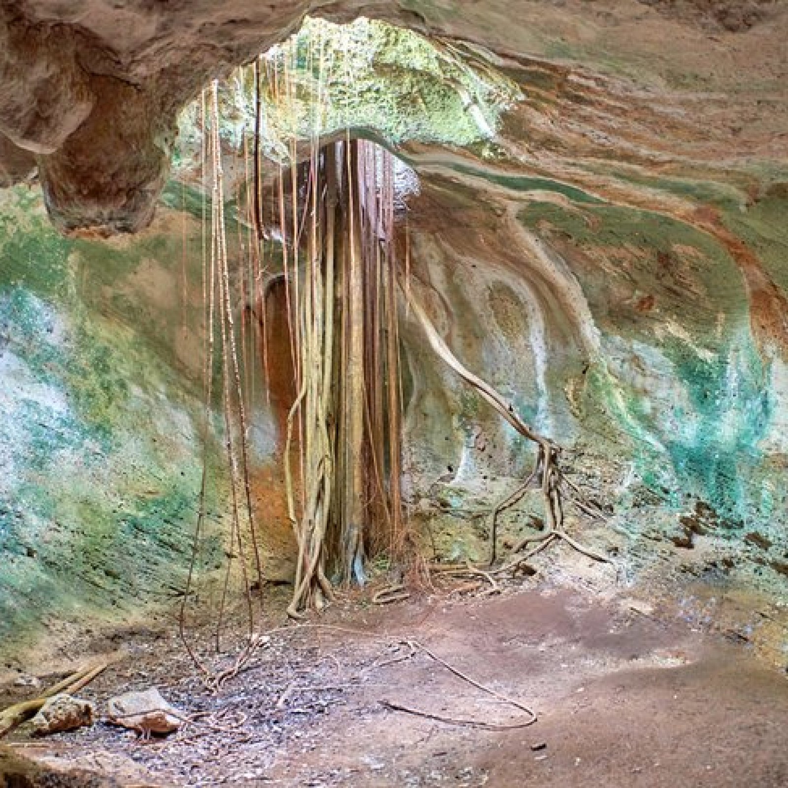 Parque Ecológico Varahicacos (Varadero Ecological Park)
