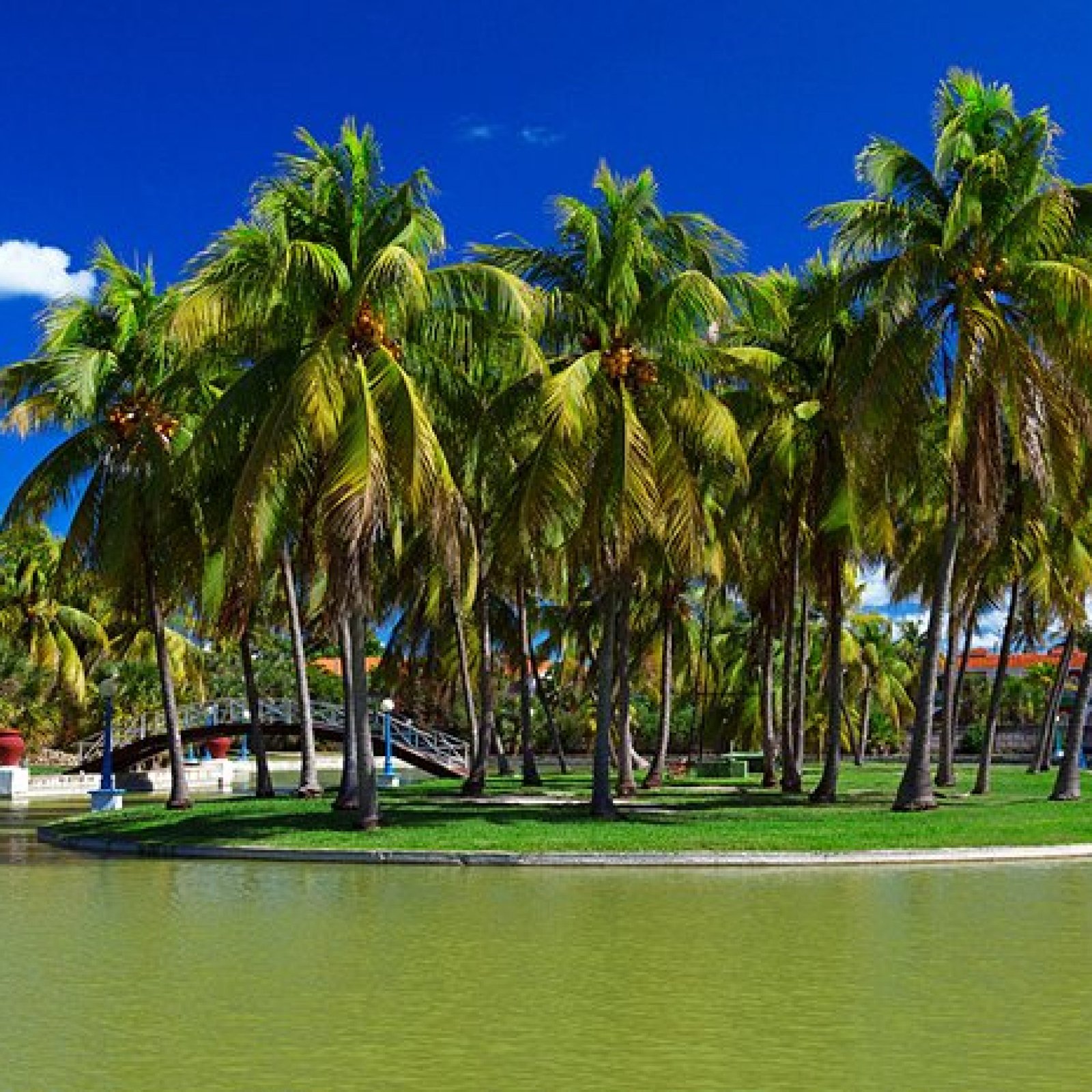 Parque Josone