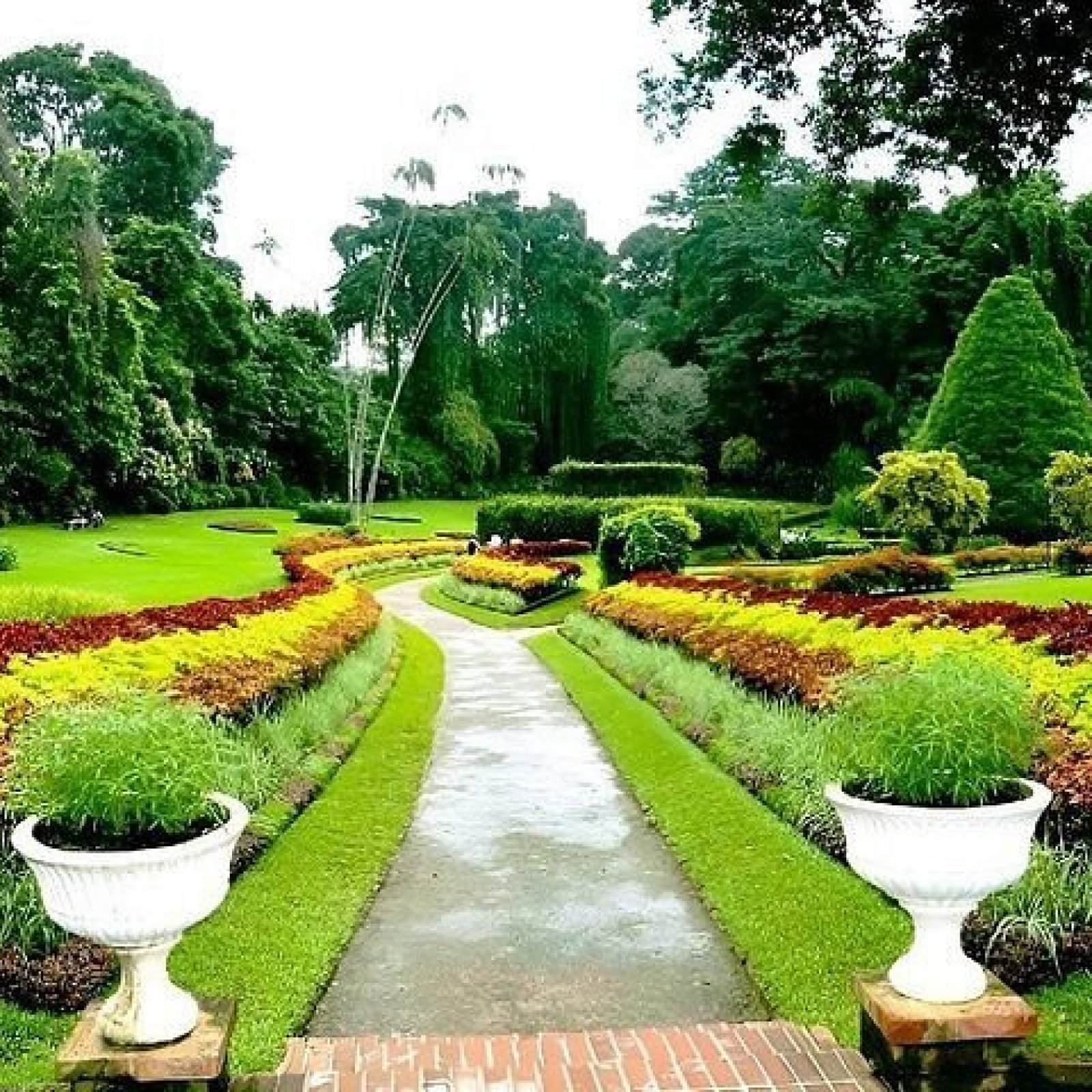 Peradeniya Botanical Gardens