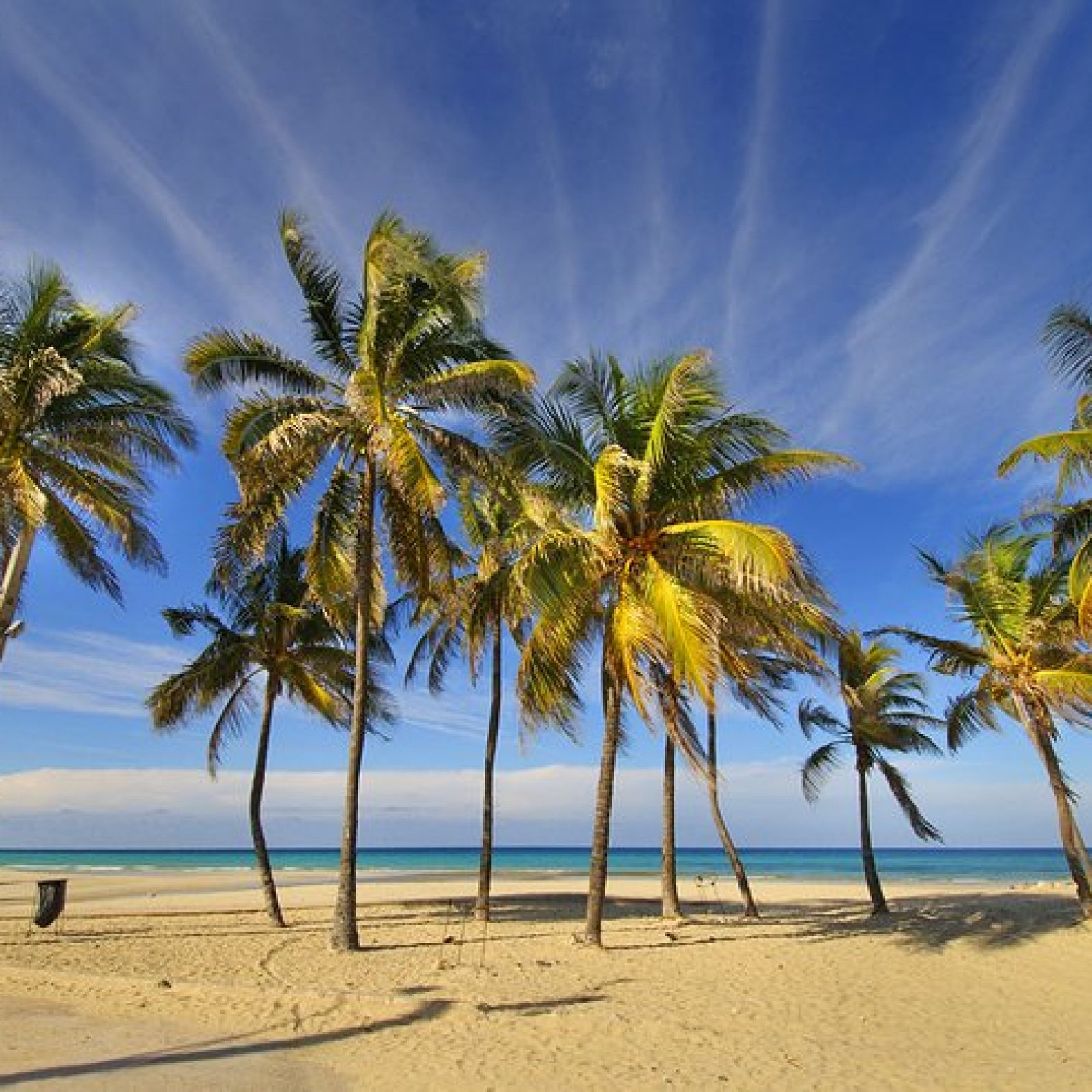 Playas del Este
