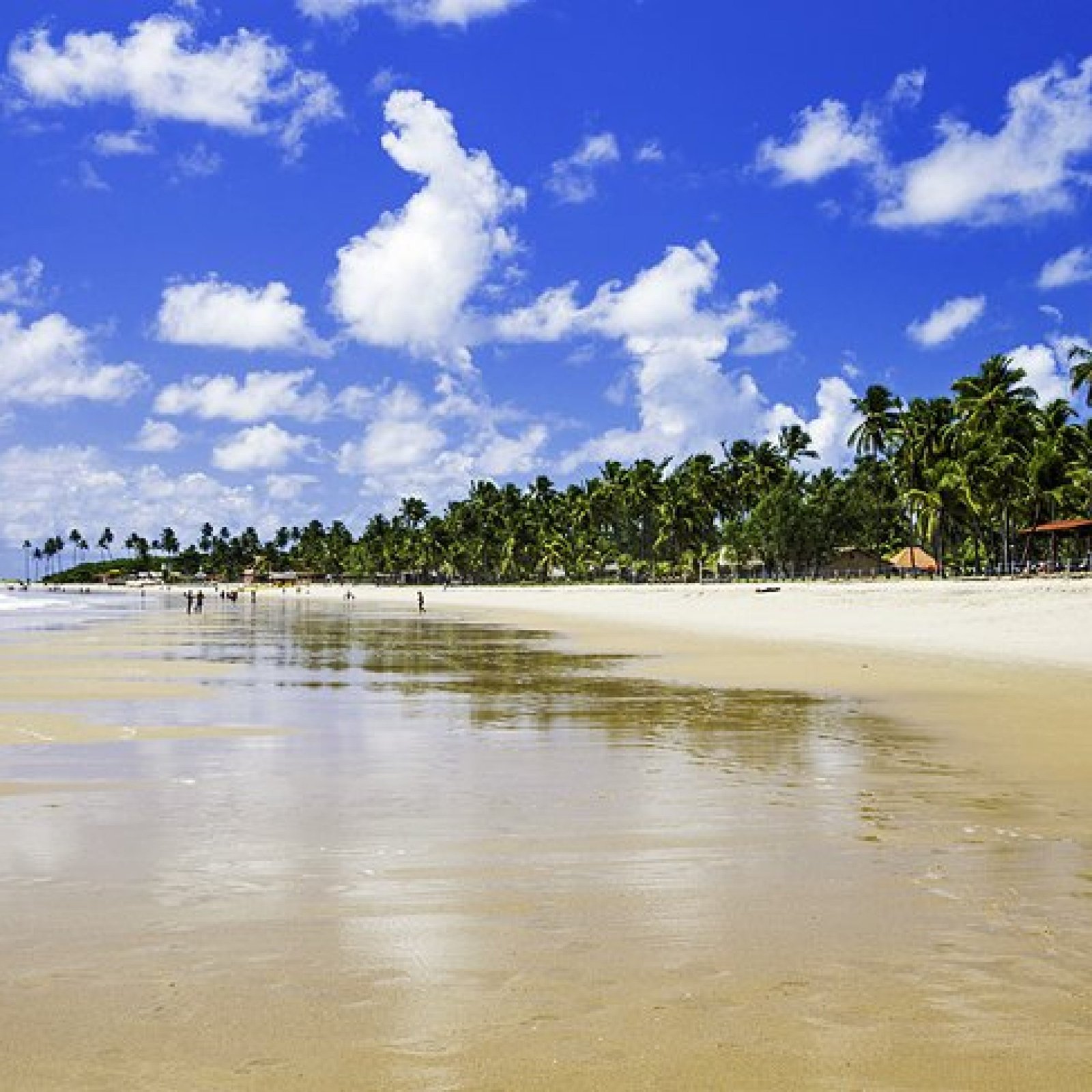 Porto de Galinhas & Pernambuco Beaches