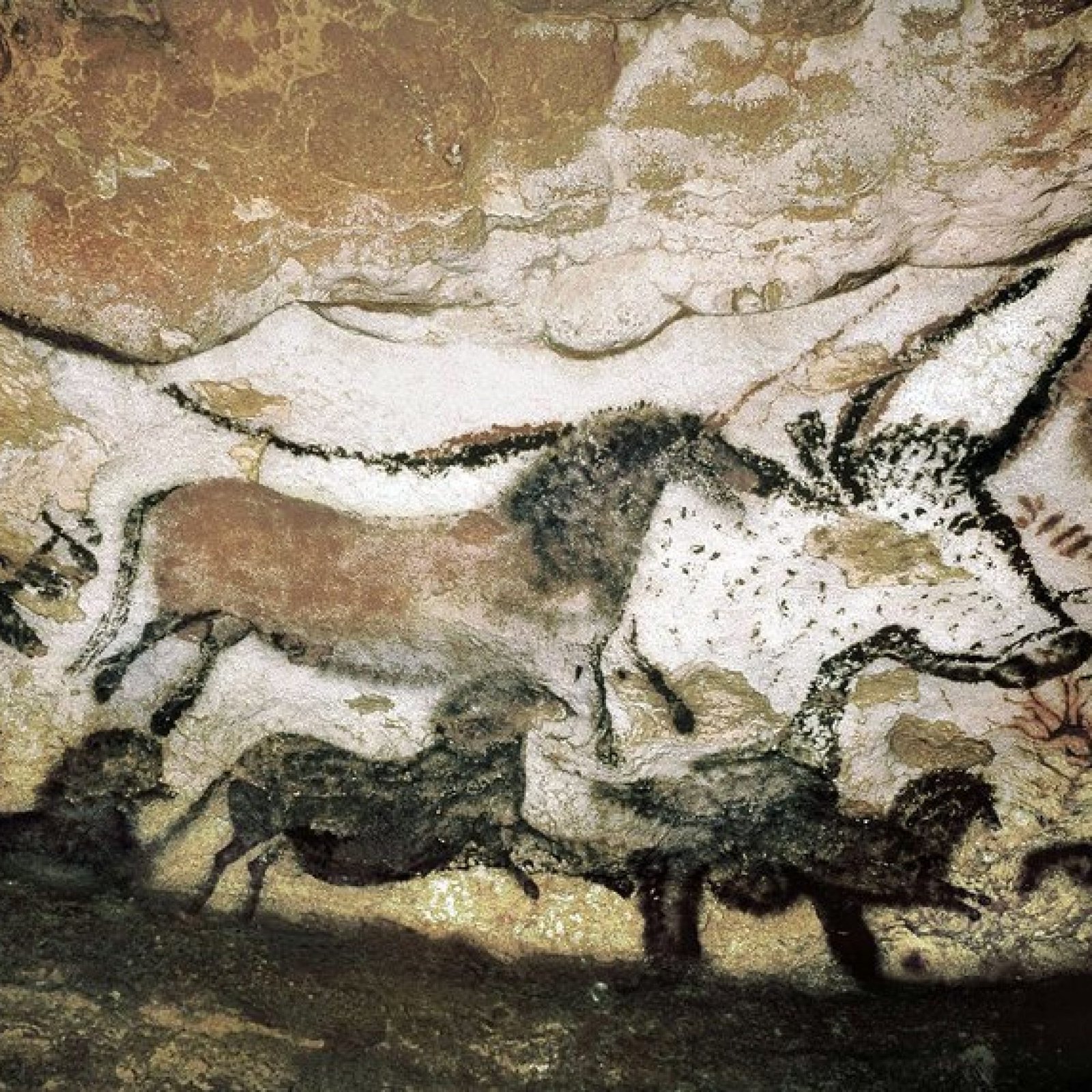 Prehistoric Cave Paintings in Lascaux