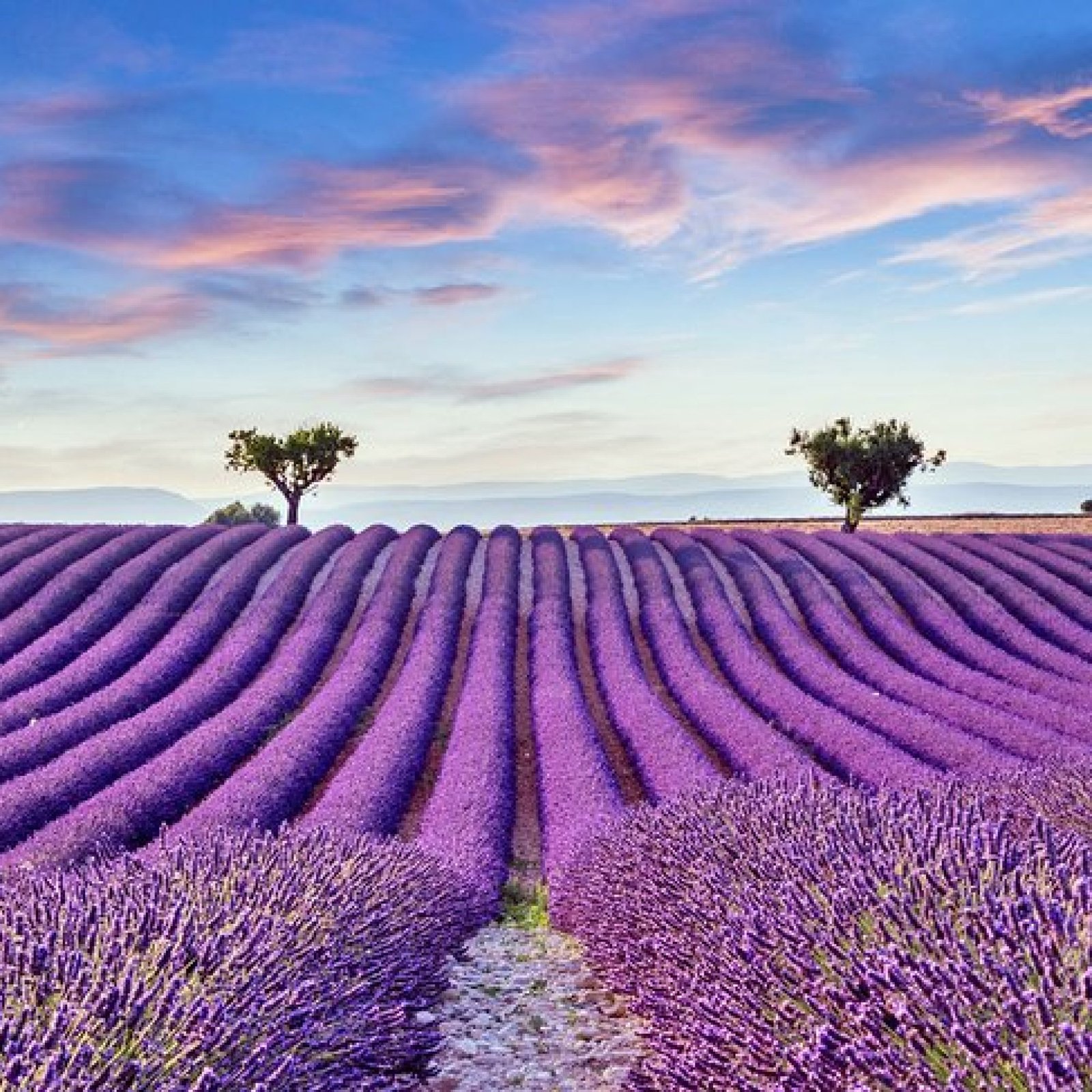 Provence